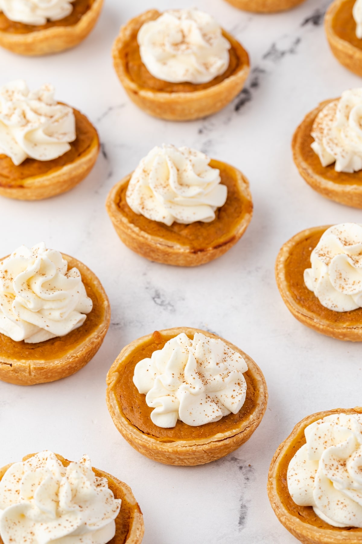 Mini Pumpkin Pies Ready to Serve Rows of small pumpkin pies topped with whipped cream on a white marble surface.