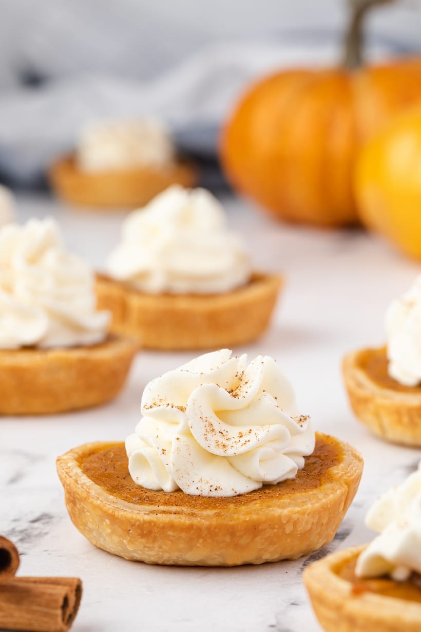 Mini Pumpkin Pies