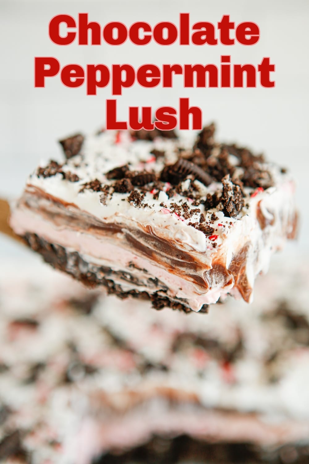 This Chocolate Peppermint Lush is the perfect no-bake, make-ahead Christmas dessert! With creamy layers of chocolate and mint, a buttery crust, and a topping of crushed candy canes, this peppermint dessert is a festive and easy recipe idea for the holidays. Keep it chilled and ready to serve for a hassle-free treat everyone will love. via @cmpollak1
