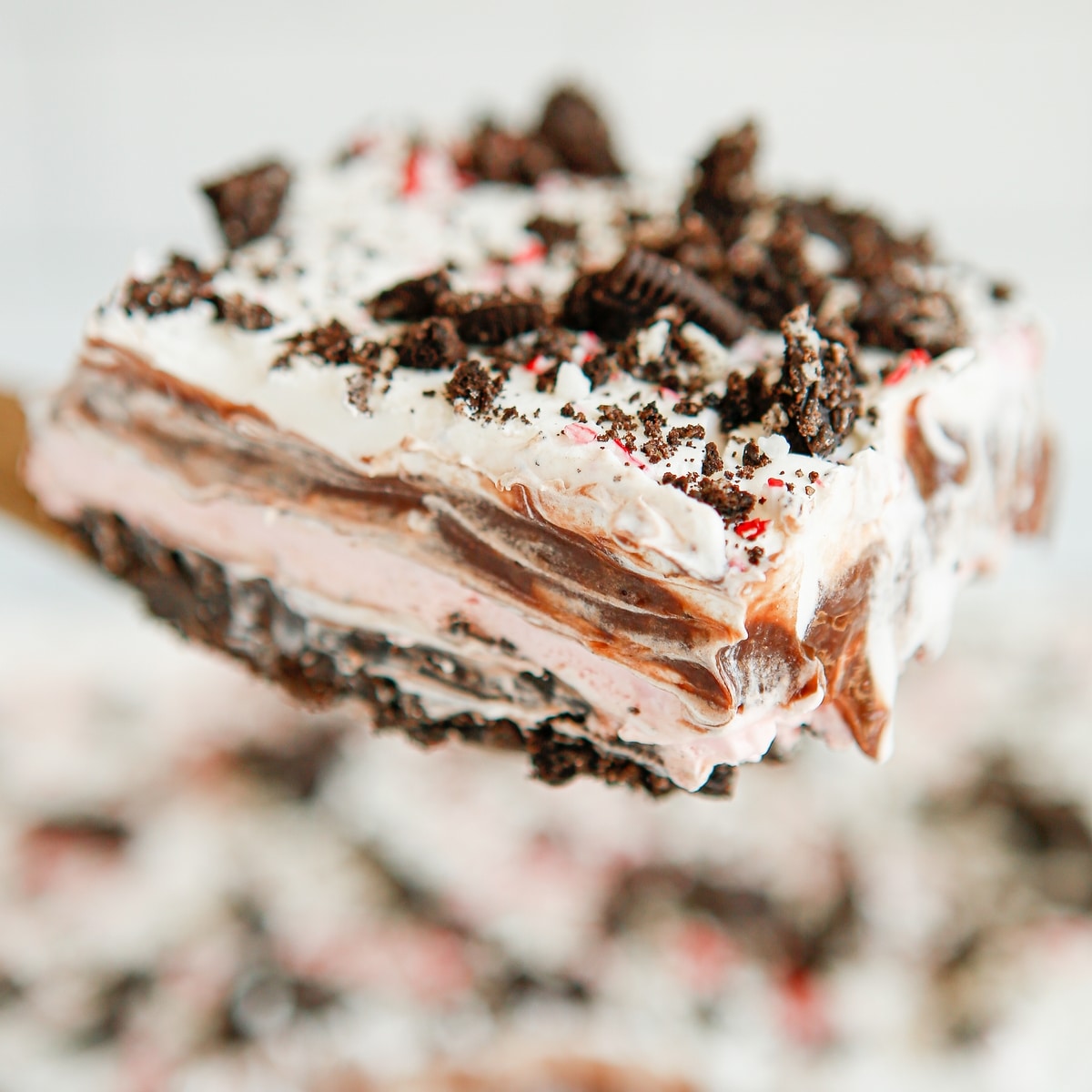 chocolate peppermint lush