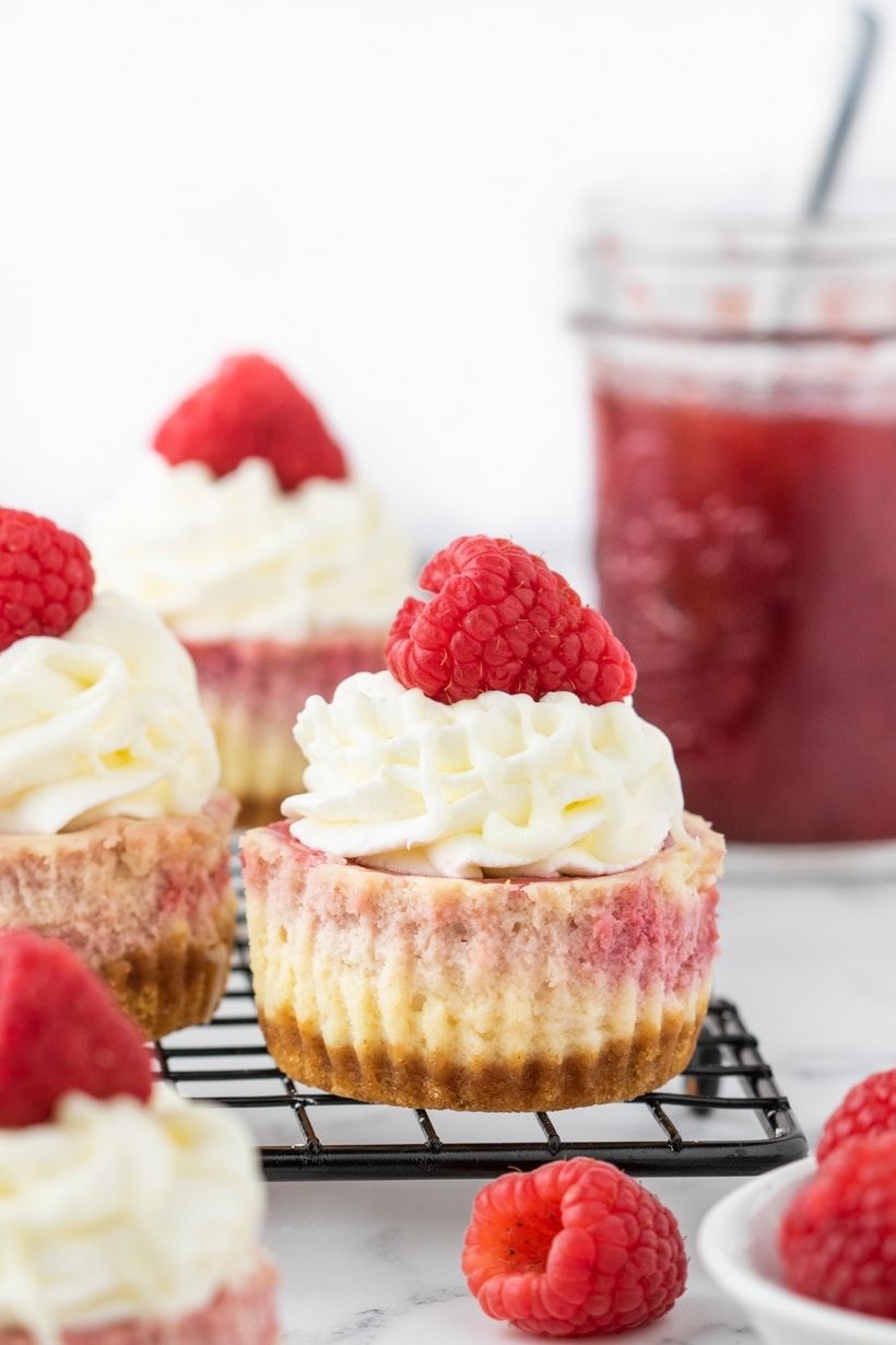 Mini white chocolate raspberry cheesecake topped with whipped cream, a drizzle of white chocolate, and a fresh raspberry.