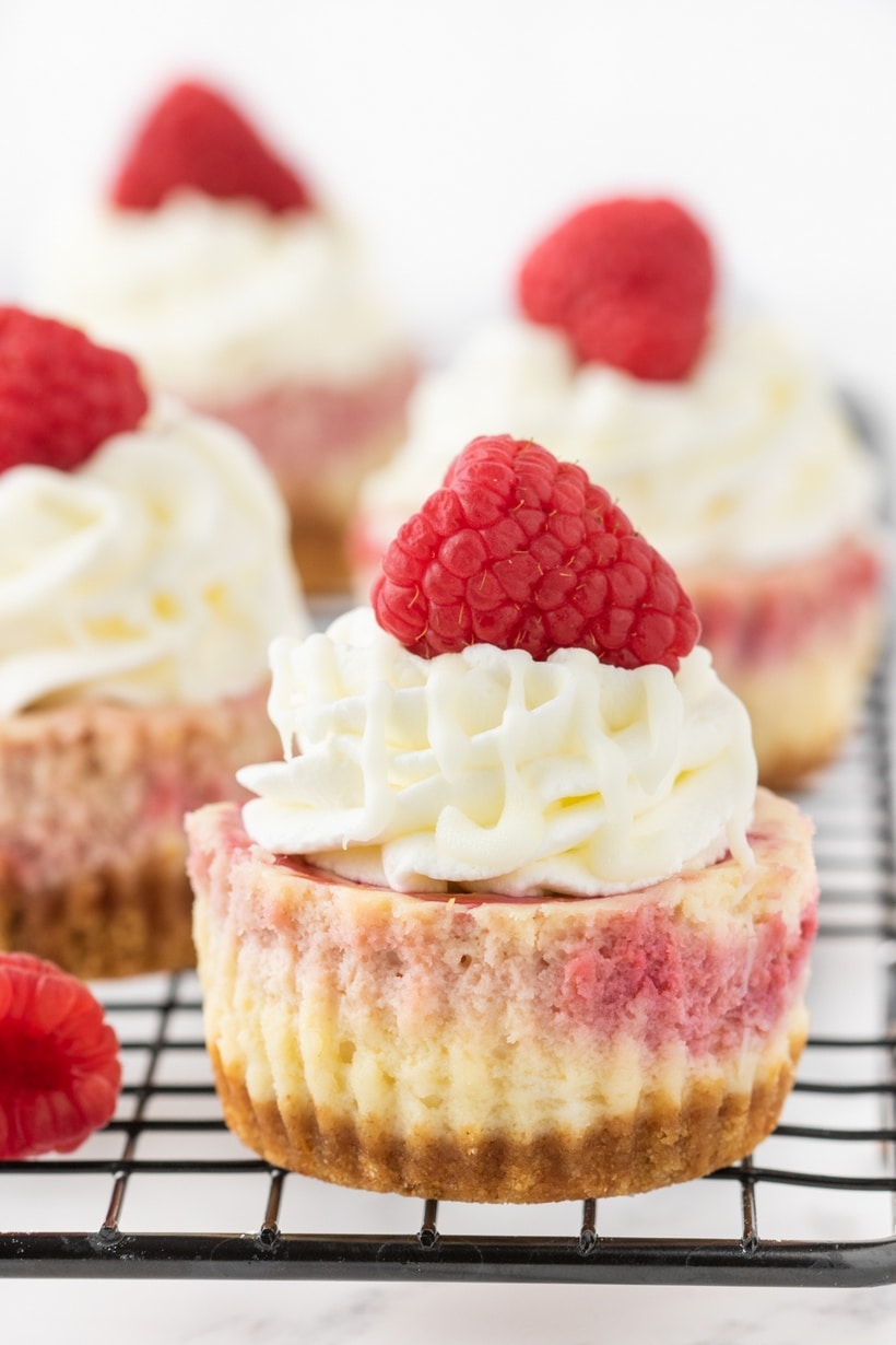 Side angle of a mini white chocolate raspberry cheesecake showing the creamy layers and graham cracker crust.