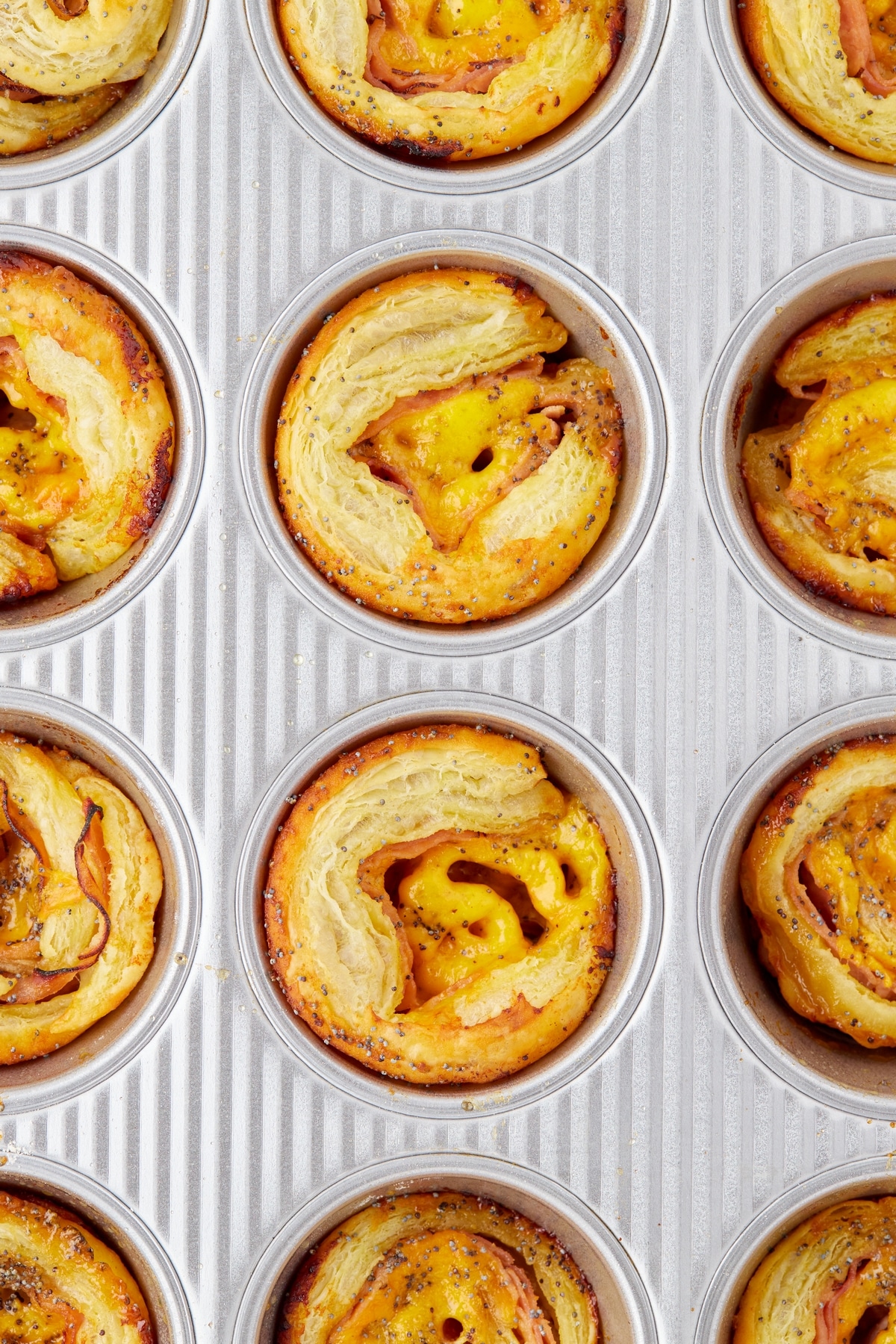 Ham and Cheese Pinwheels in a muffin tin. Ham and cheese pinwheels in a muffin tin, fresh out of the oven.