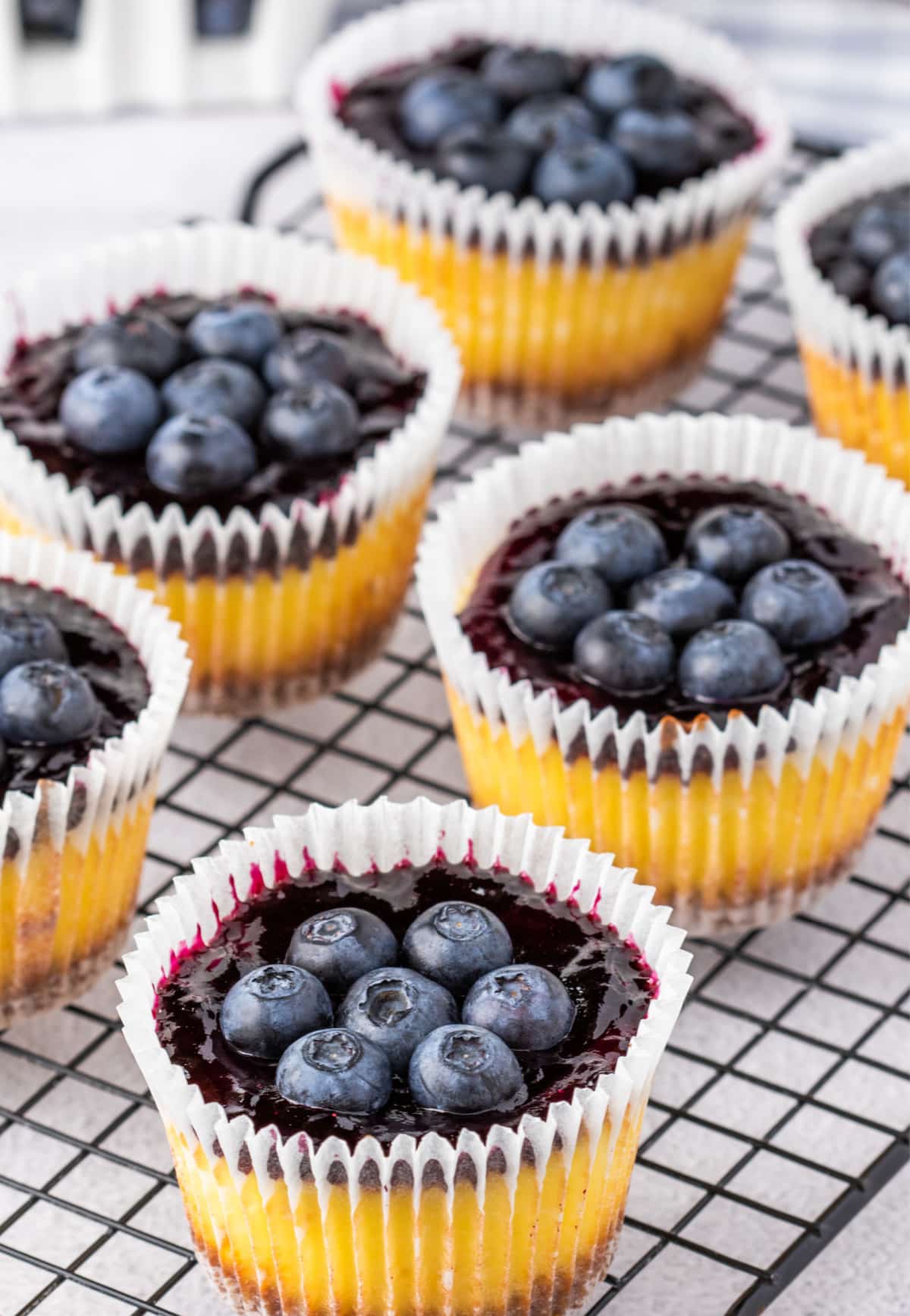 Mini cheesecakes with blueberry topping cooling on a wire rack