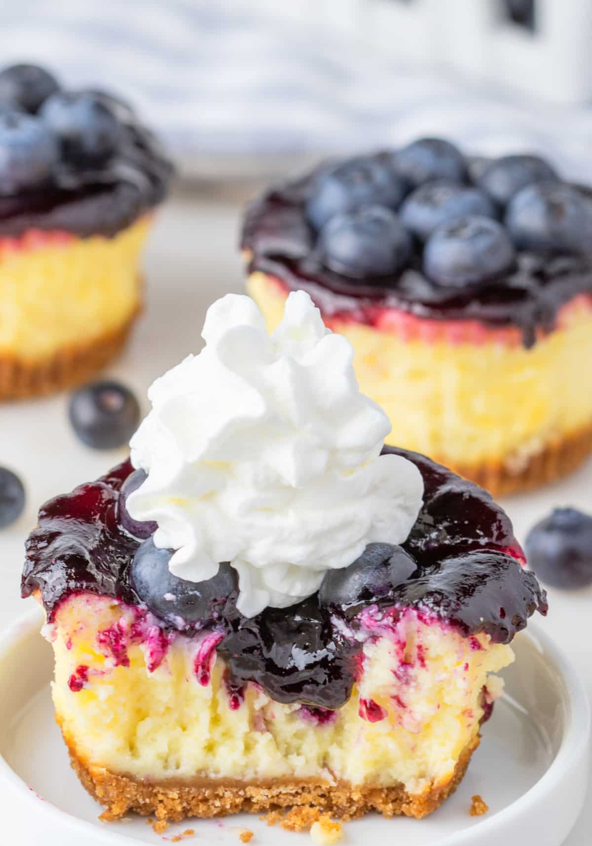 Mini cheesecake with blueberry topping and whipped cream on top