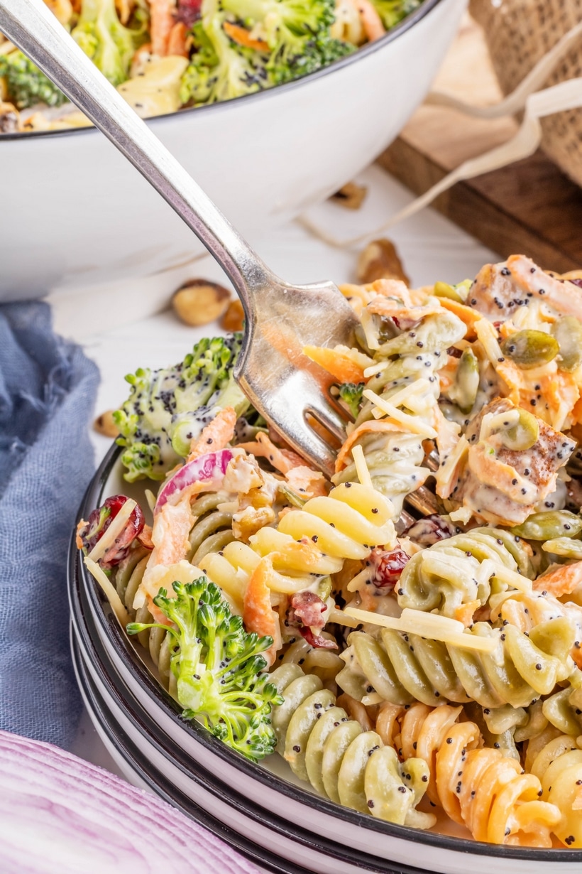 Shake up your meals with this savory and delicious Sweet Potato Pasta Salad. This hearty side dish is packed with flavor and crunch and tied together with a homemade poppy seed dressing. sweet potato salad