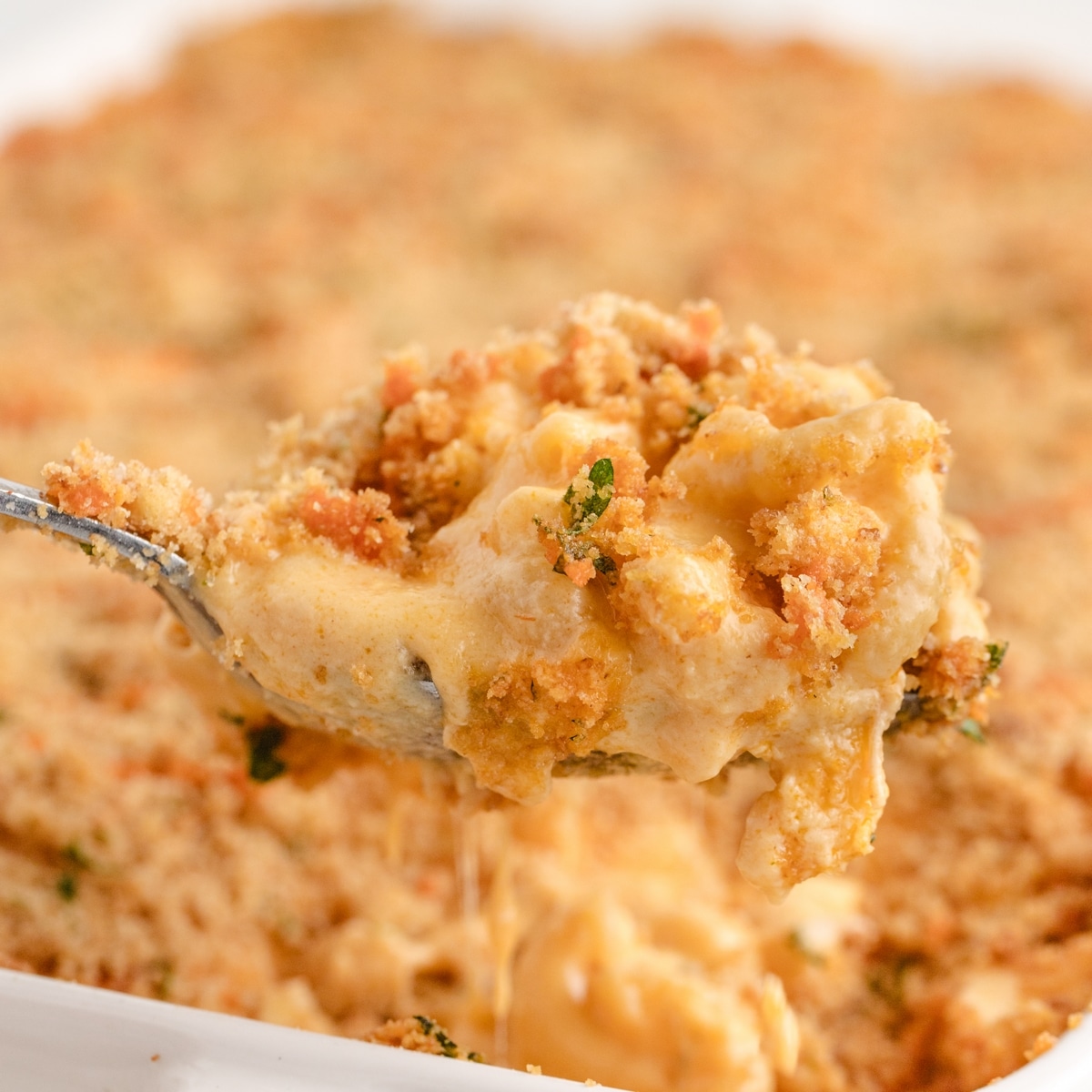 buffalo chicken mac and cheese