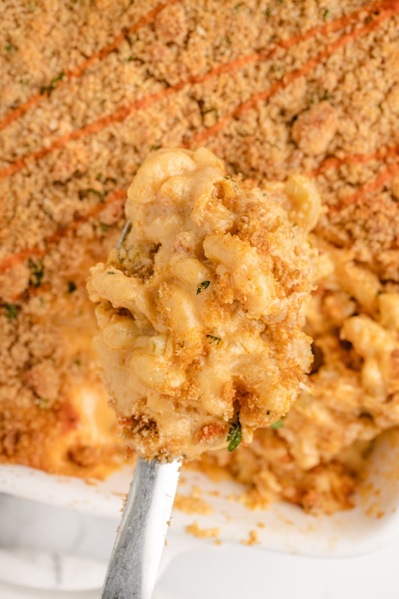 buffalo chicken mac and cheese with a spoonful emerging from the baking dish.