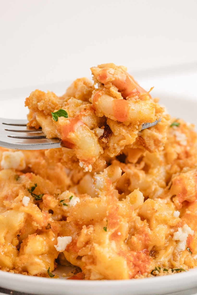 A forkful of buffalo chicken mac.