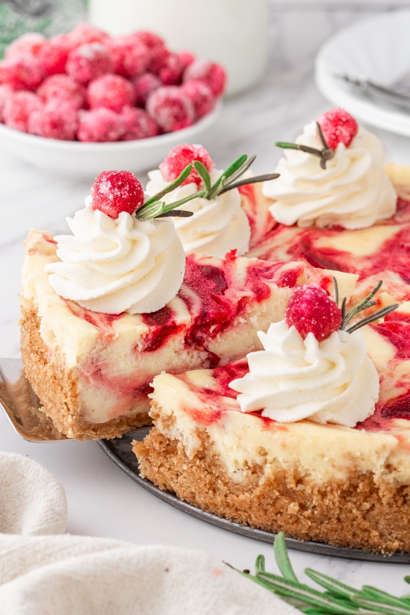 Serving a Slice of Cranberry Cheesecake with Cranberry Topping. Close-up of a slice of cranberry cheesecake being lifted with a cake server, showing the vibrant cranberry topping.