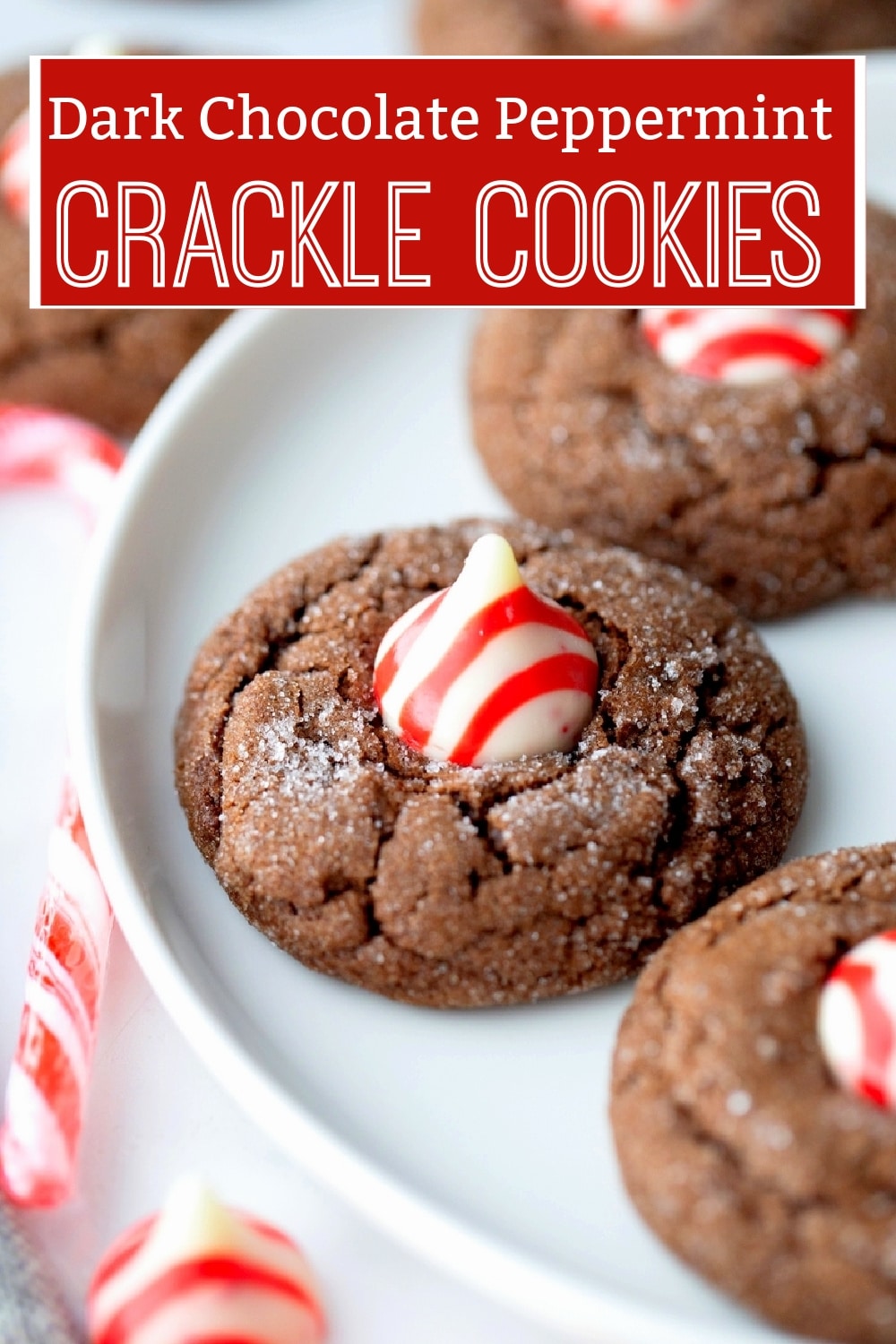 These Dark Chocolate Peppermint Crackle Cookies are the perfect Christmas cookie for your holiday baking! Made with rich dark chocolate, semi-sweet chocolate chunks, and a refreshing peppermint twist, they’re a must-have for cookie exchanges and make a great neighbor treat. This easy recipe is perfect for holiday gatherings, and you can even switch up the Hershey's KISS flavor for a fun twist. Bake these peppermint cookie holiday treats and enjoy them all season long. via @cmpollak1