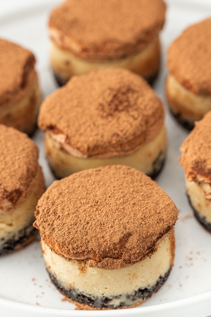 These irresistible mini-sized espresso cheesecakes are nestled on a Oreo cookie base and crowned with a luscious cloud of chocolate whipped topping that is generously dusted with cocoa powder. These mini cheesecakes are an indulgence fit for any occasion, with a special nod to the holiday season. tiramisu like cheesecake