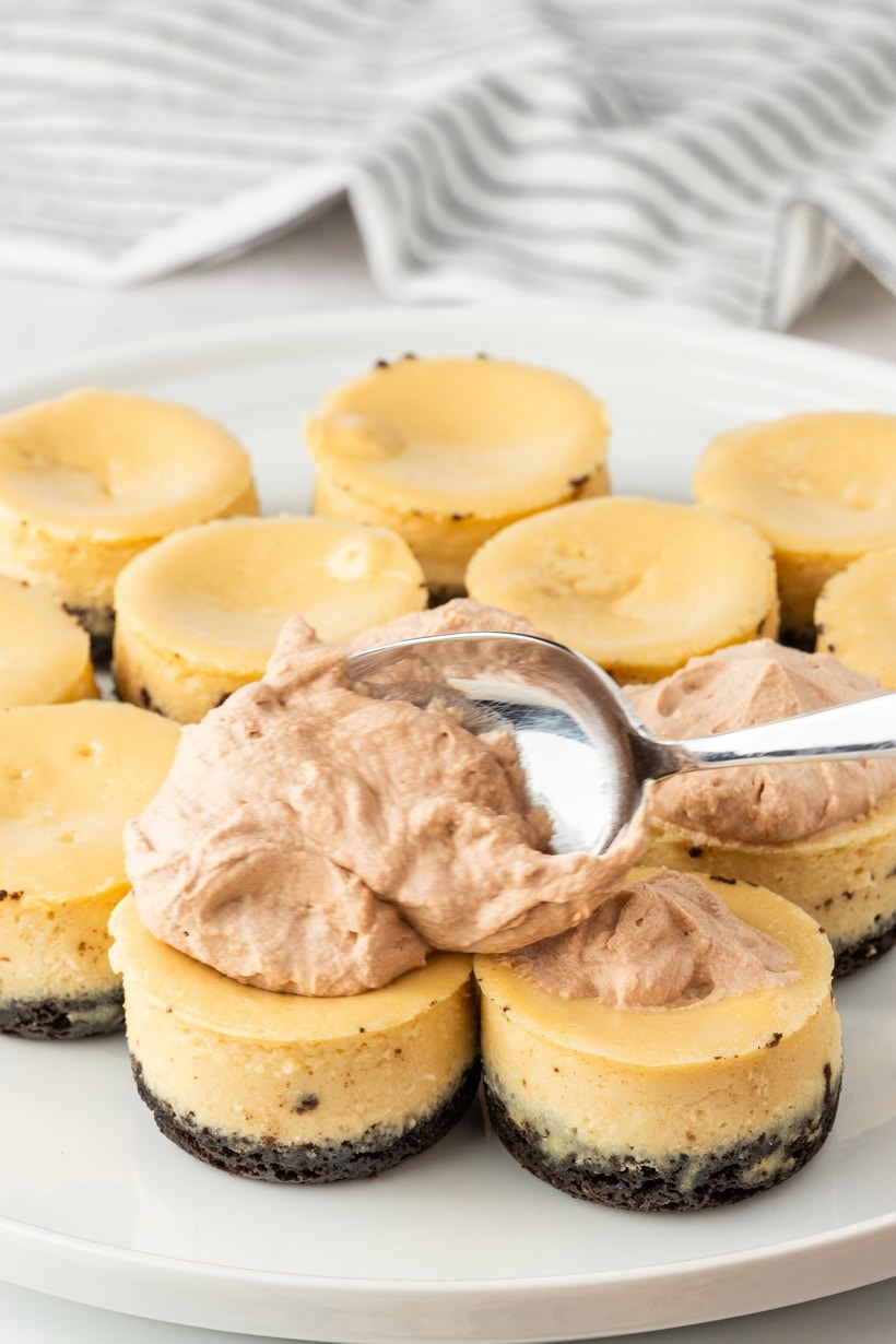 These irresistible mini-sized espresso cheesecakes are nestled on a Oreo cookie base and crowned with a luscious cloud of chocolate whipped topping that is generously dusted with cocoa powder. These mini cheesecakes are an indulgence fit for any occasion, with a special nod to the holiday season. espresso cheesecake recipe