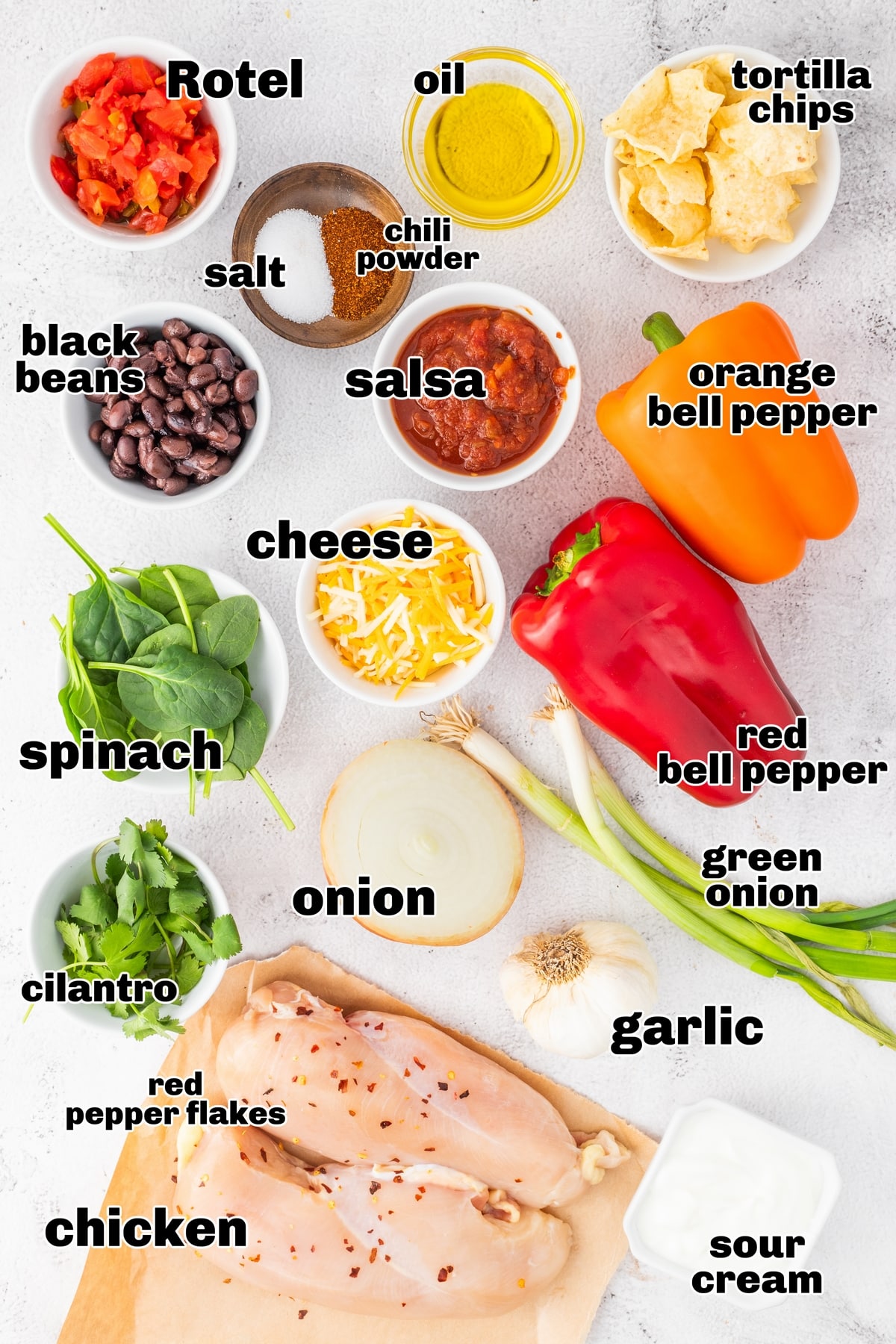 ingredients like chicken, salsa and cheese