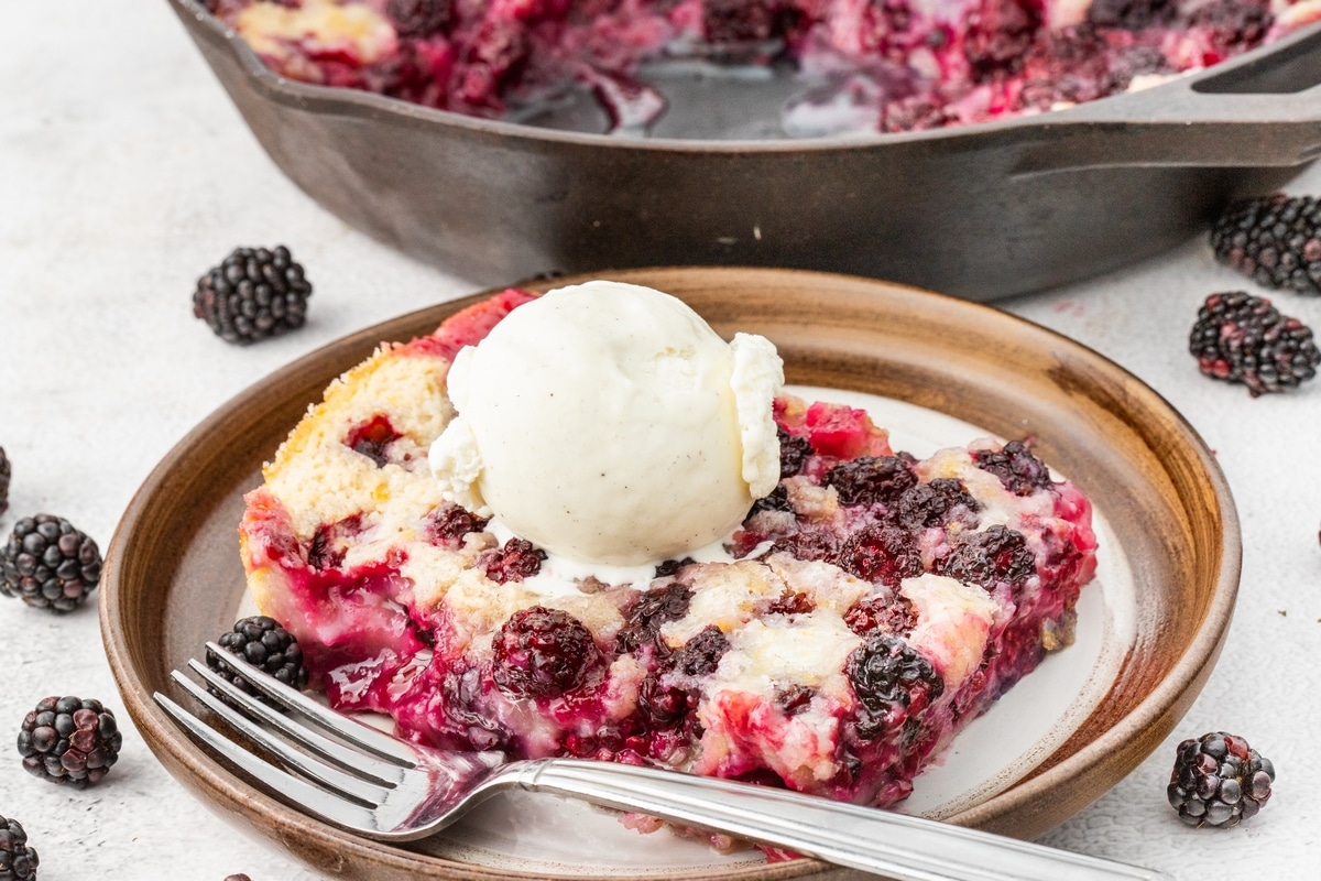 cobbler blackberry