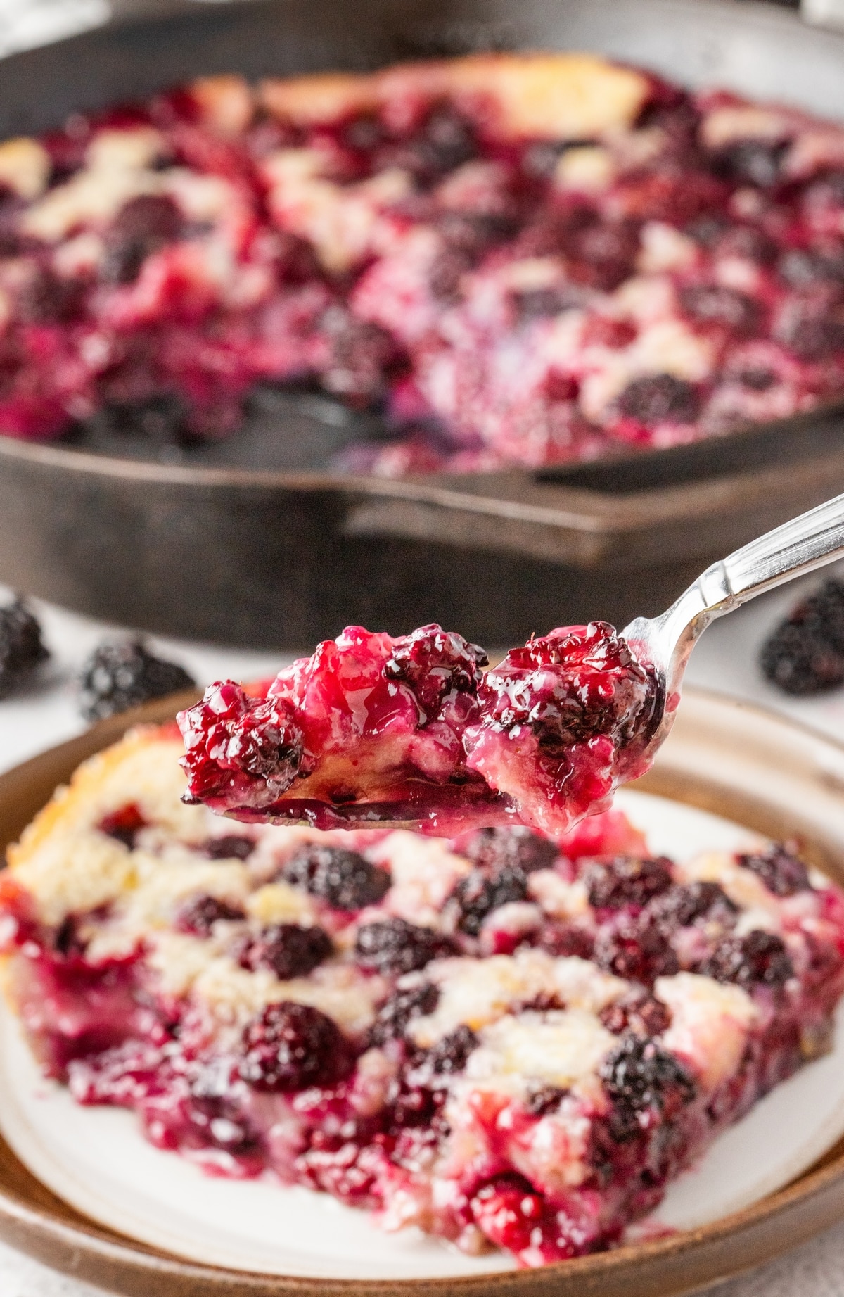 Blackberry Cobbler