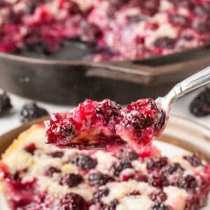 blackberry cobbler