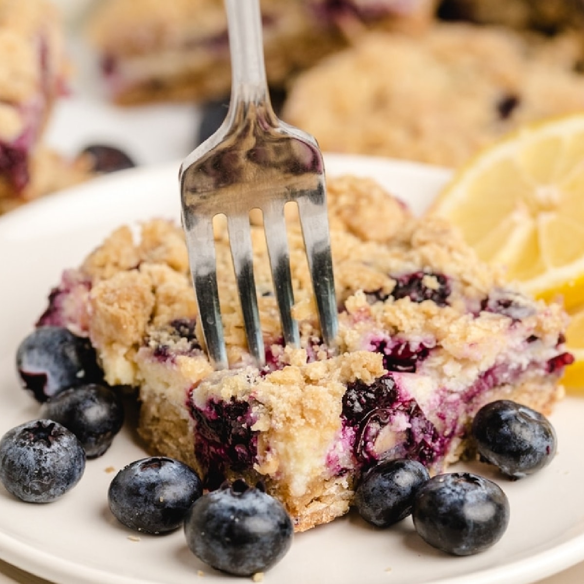 Lemon Blueberry Crumble Bars (with Oat Streusel)