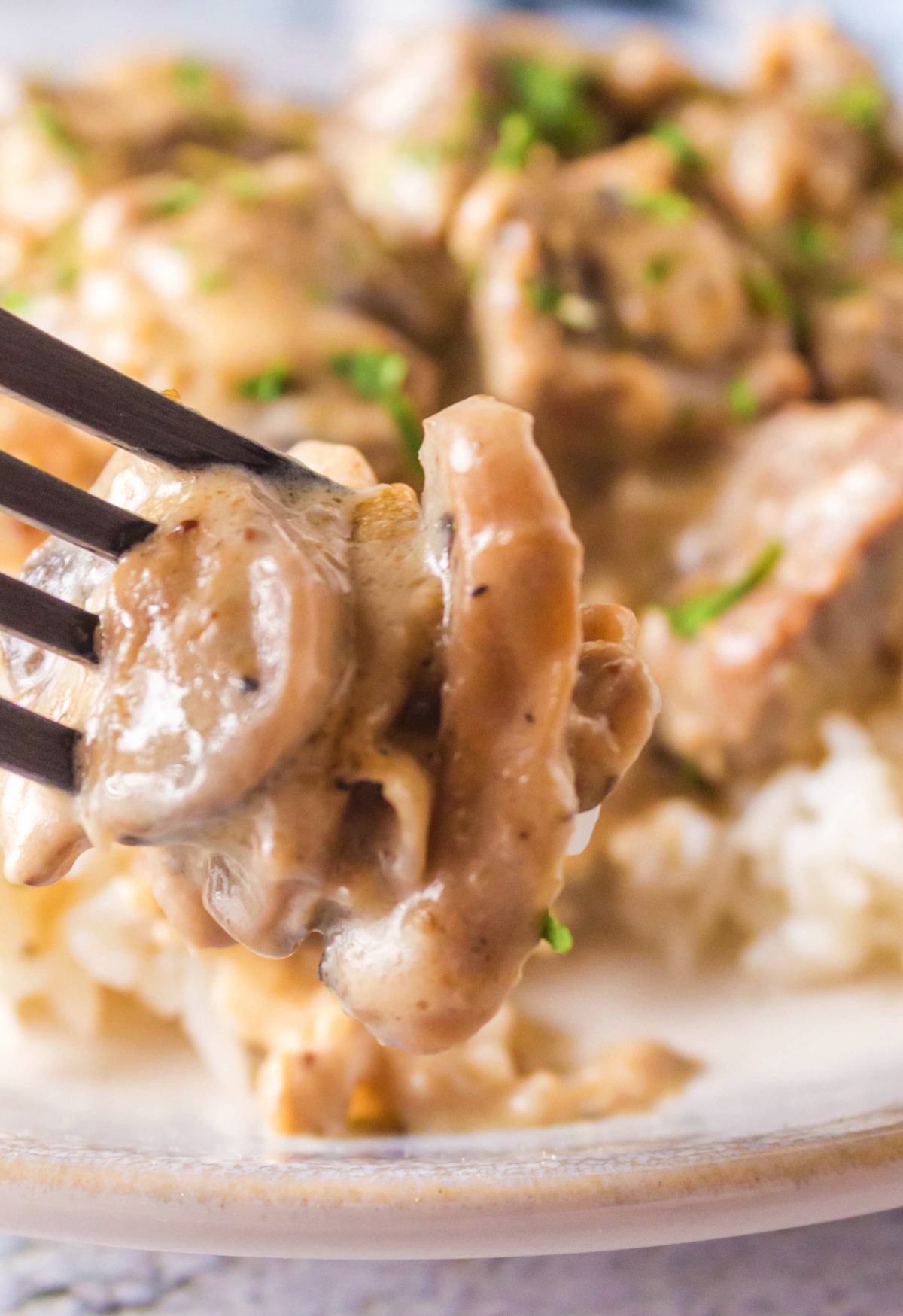 Beef stroganoff on a fork a bite of creamy beef stroganoff