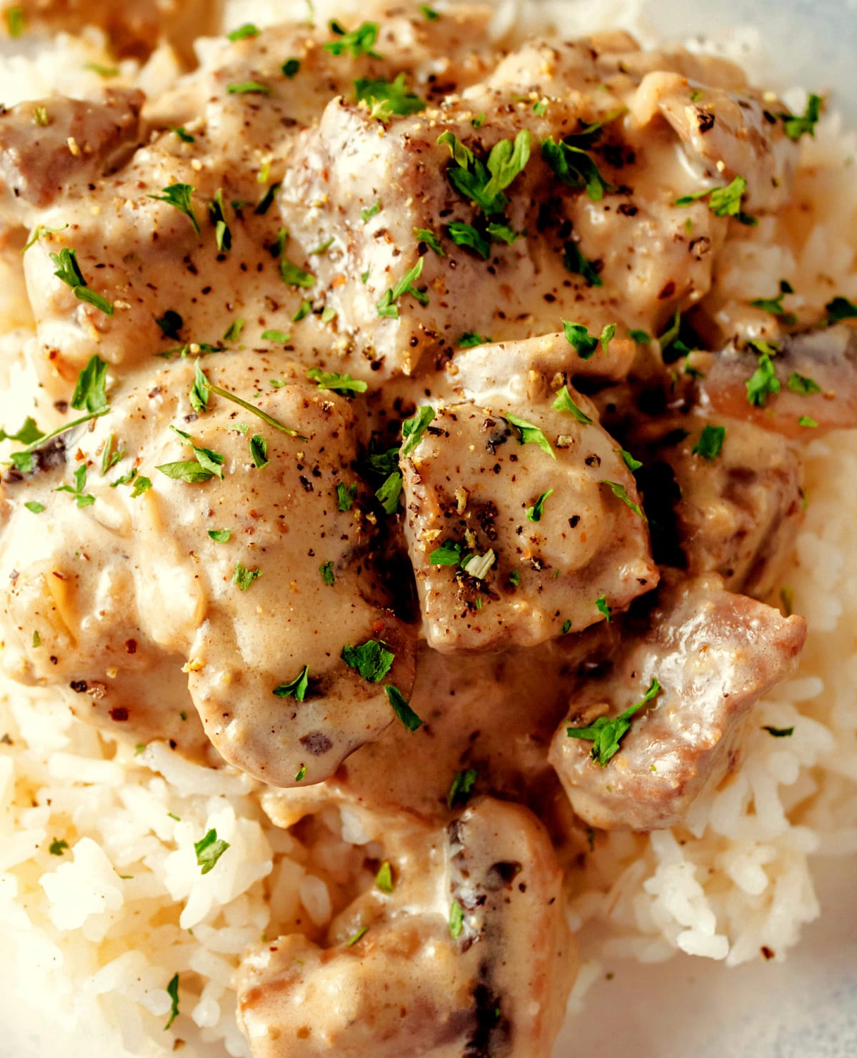 plated beef stroganoff close up of beef stroganoff with rice