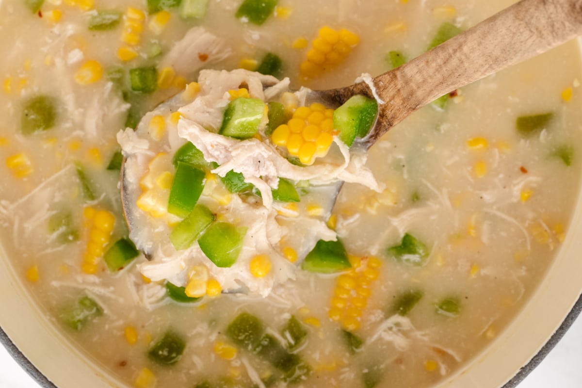 Ladle filled with chicken corn chowder, shredded chicken, fresh sweet corn, and green bell peppers over the pot.