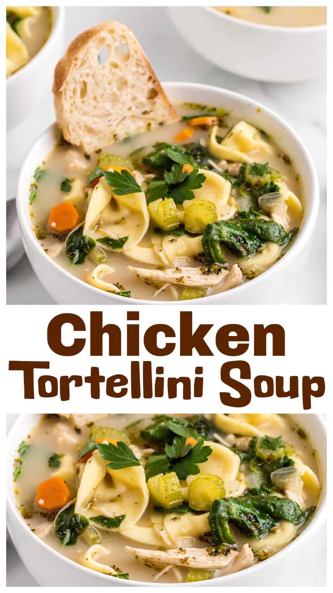Chicken tortellini soup made in one pot with vegetables, chicken broth, milk, spinach, and cheese-filled tortellini. This chicken tortellini soup recipe is brothy, lightly creamy, and ready in about 30 minutes. Made with cooked chicken, Italian seasoning, and a finish of lemon juice, it’s an easy chicken soup recipe for dinner, meal prep, or leftovers. via @cmpollak1