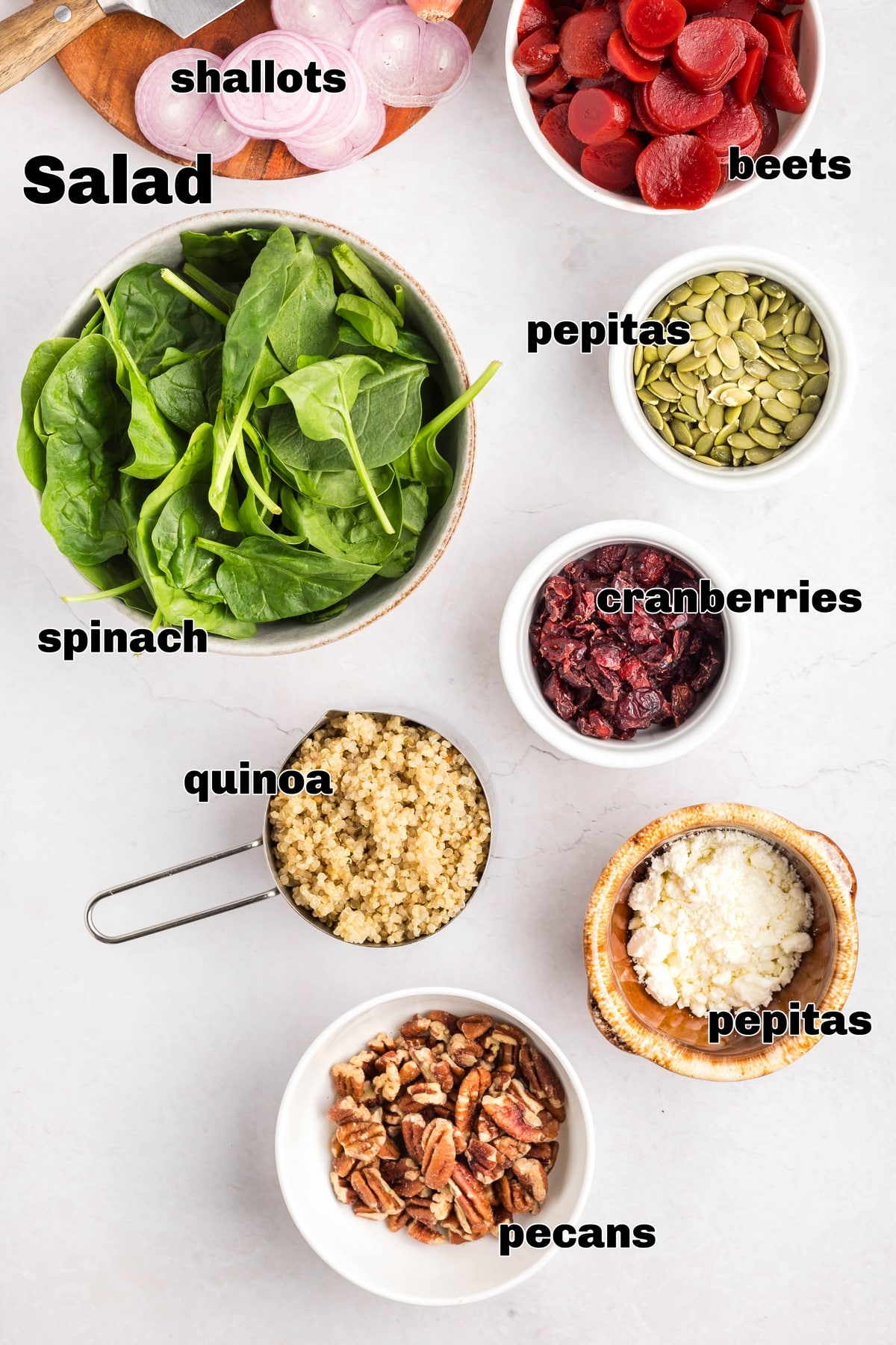 Beet salad ingredients Beet salad ingredients including sliced beets, spinach, dried cranberries, pumpkin seeds, pecans, feta, and shallots.