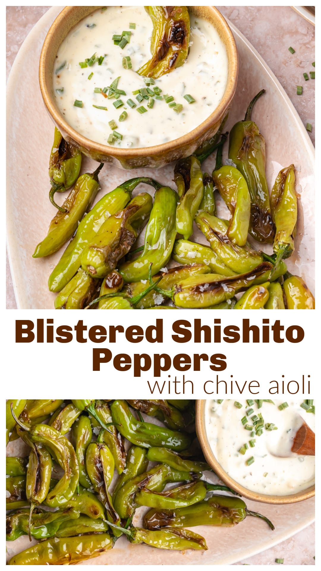 These blistered shishito peppers are the perfect quick and easy appetizer. Cooked hot and fast in a skillet, they develop smoky charred skins and just enough heat to keep things interesting. Served with a homemade garlic chive aioli, this five-minute snack is packed with flavor and always disappears fast. Great for happy hour, weeknight dinners, or anytime you’re craving something savory and shareable. via @cmpollak1