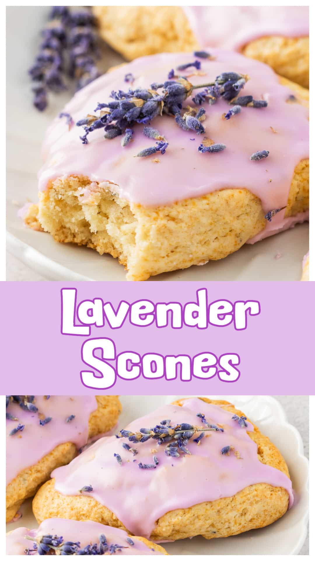 These honey lavender scones are soft, buttery, and lightly sweetened with honey, then finished with a simple lavender glaze made with crushed berries for a natural purple color. Whether you’re using fresh or dried culinary lavender, this easy lavender scone recipe delivers subtle floral flavor without overpowering. Perfect for brunch, afternoon tea, bridal showers, or a relaxing weekend bake. via @cmpollak1