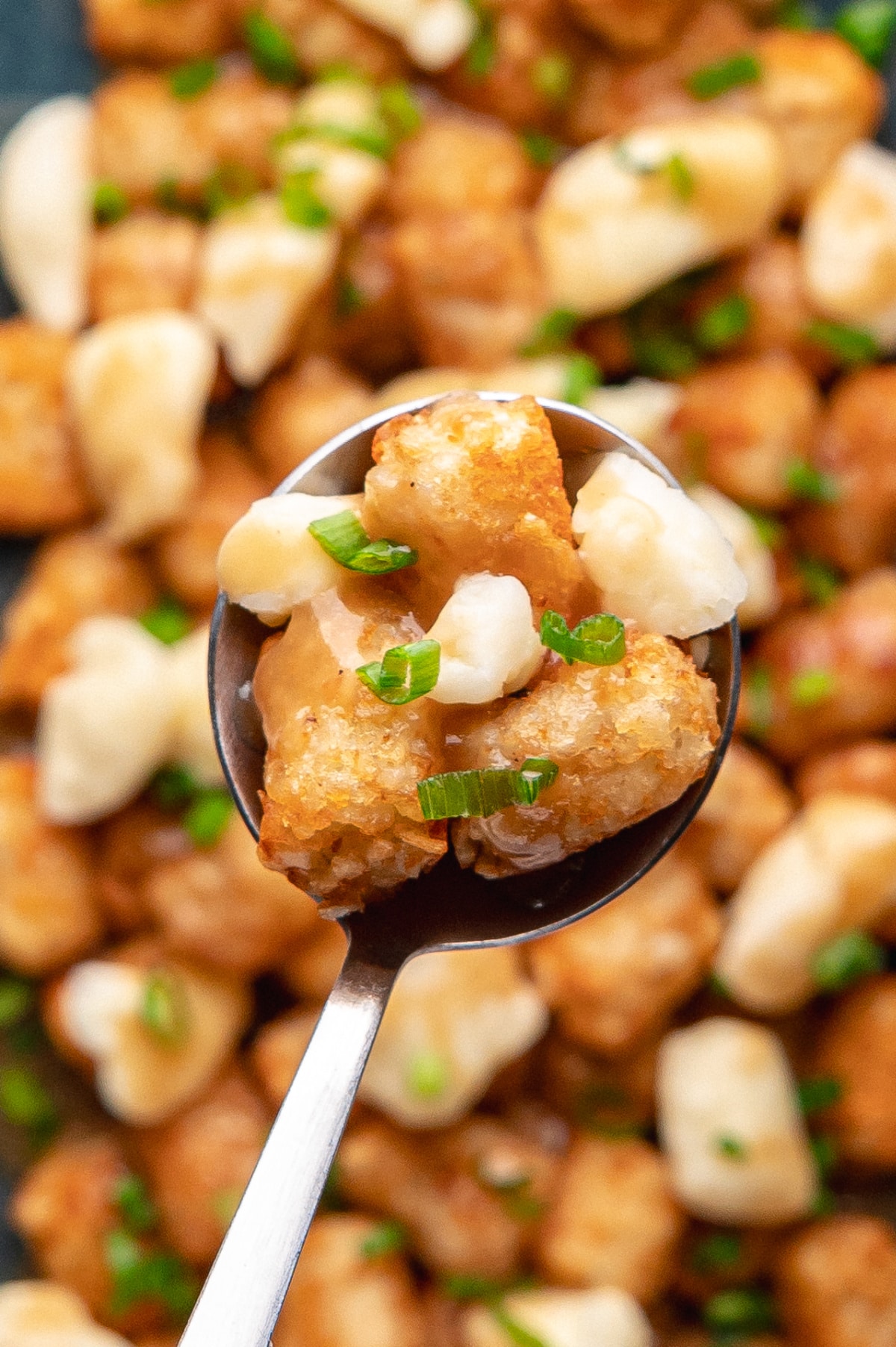 Tater Tot Poutine Recipe with Crispy Tots and Melty Cheese Curds Overhead view of tater tot poutine with cheese curds, thick brown gravy, and sliced green onions served on a speckled plate.
