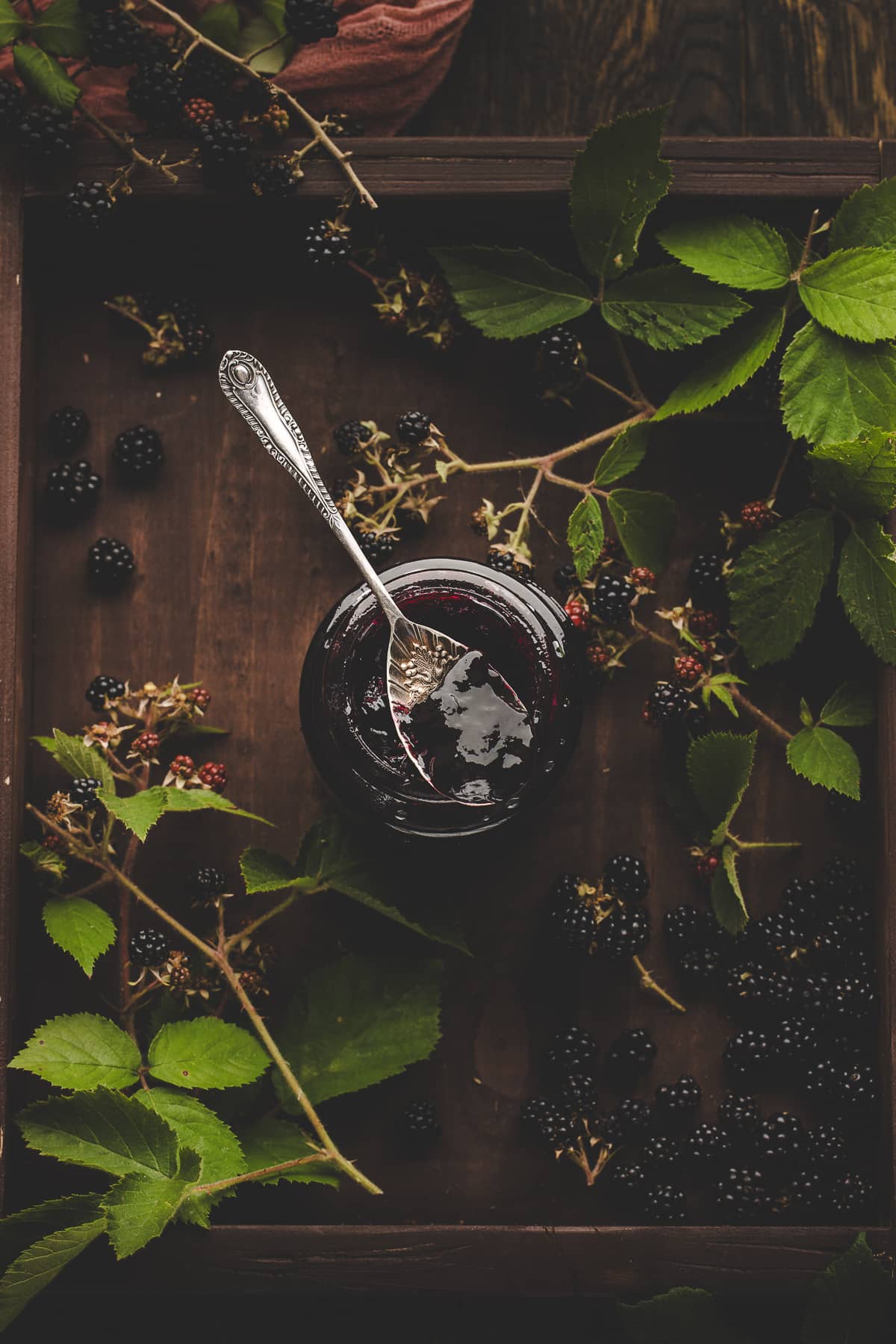 Overhead view of seedless blackberry jam in a jar with spoon, surrounded by wild blackberry vines