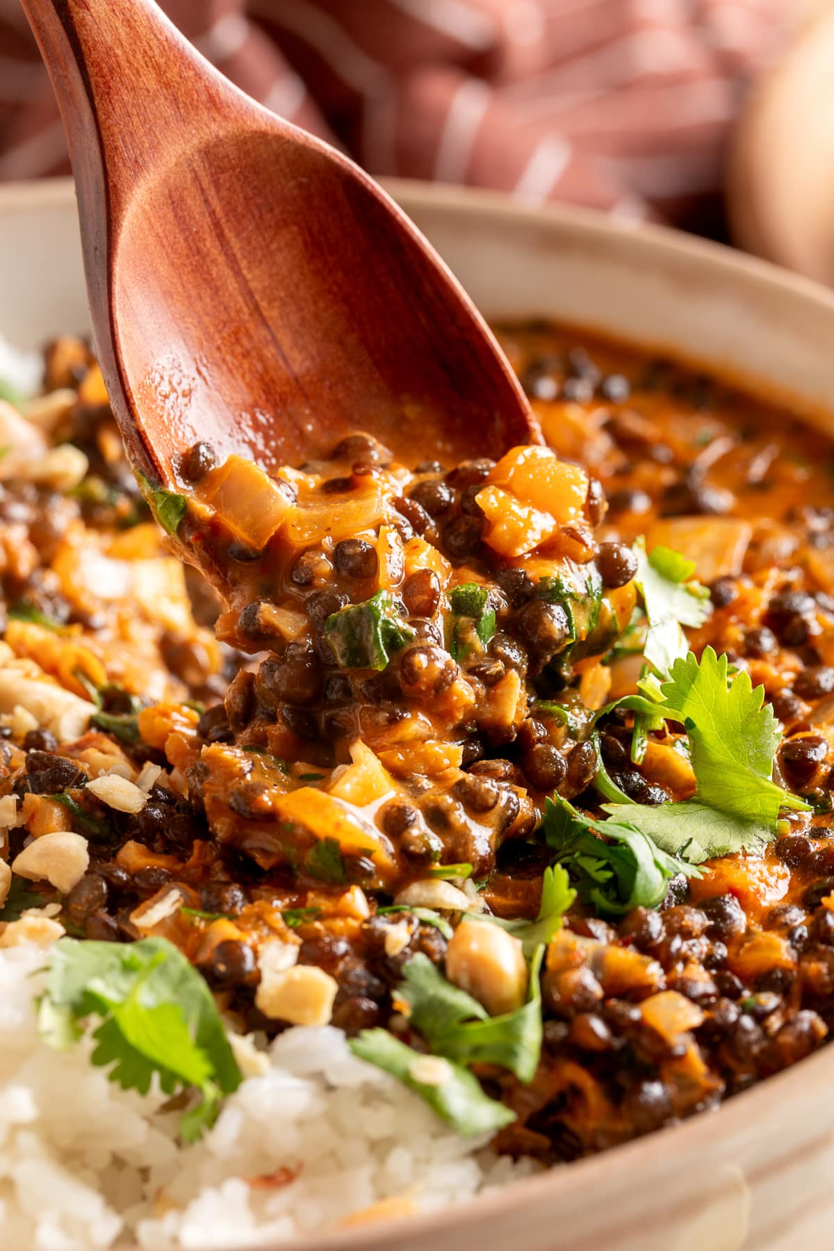 Wooden spoon scooping creamy coconut curry lentils with garlic, ginger, and curry sauce.