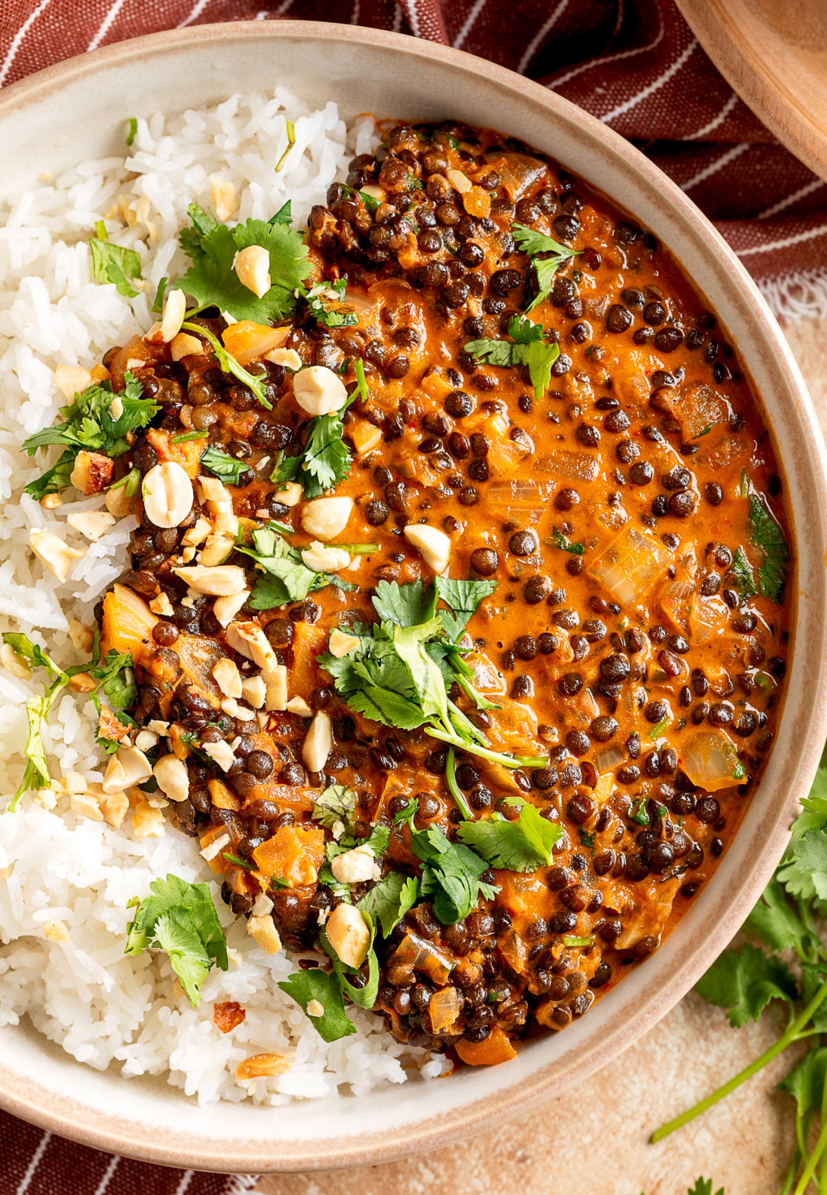 Overhead view of coconut curry marry me lentils served over jasmine rice with fresh cilantro and chopped peanuts.