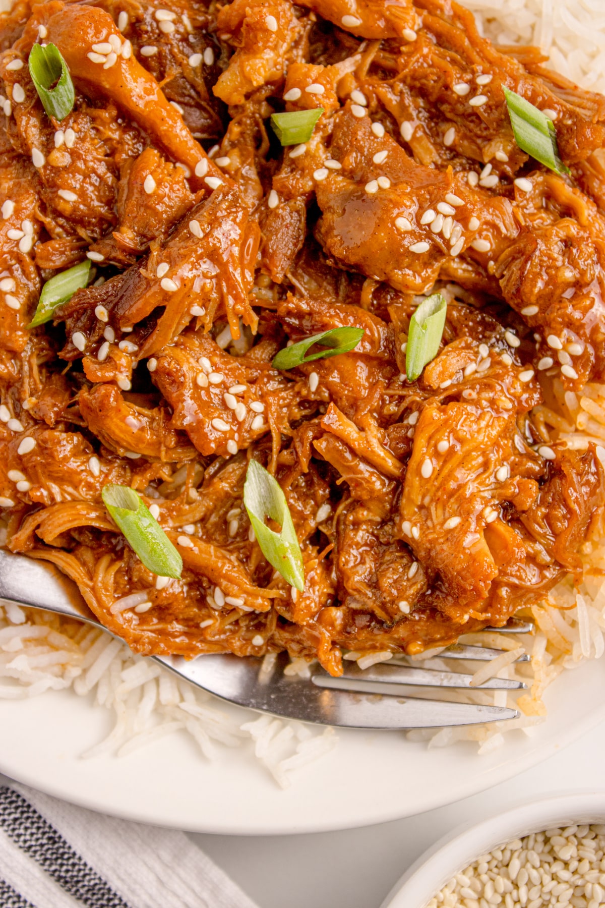 Shredded crockpot chicken with sesame seeds and green onion served over rice.