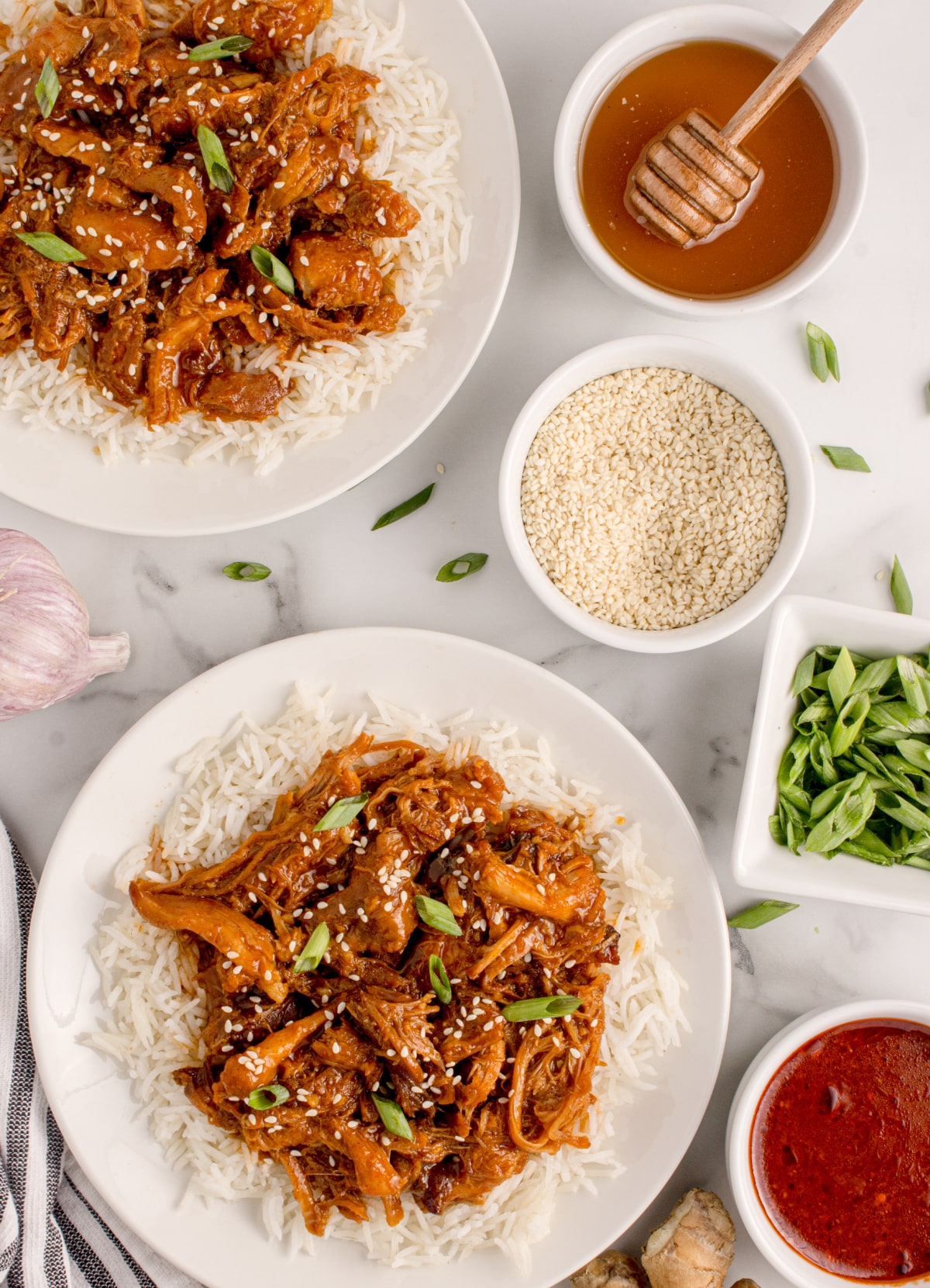 Two plates of saucy shredded chicken served over rice with fresh toppings.
