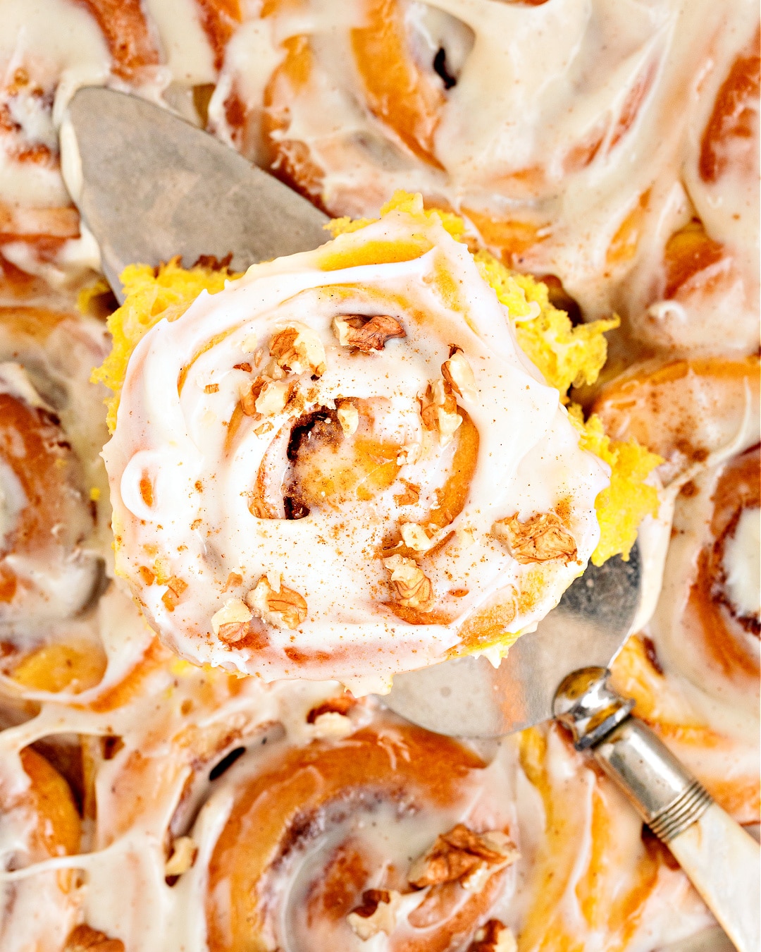 butternut rolls for breakfast Pan of fresh squash rolls lifted out with a spatula