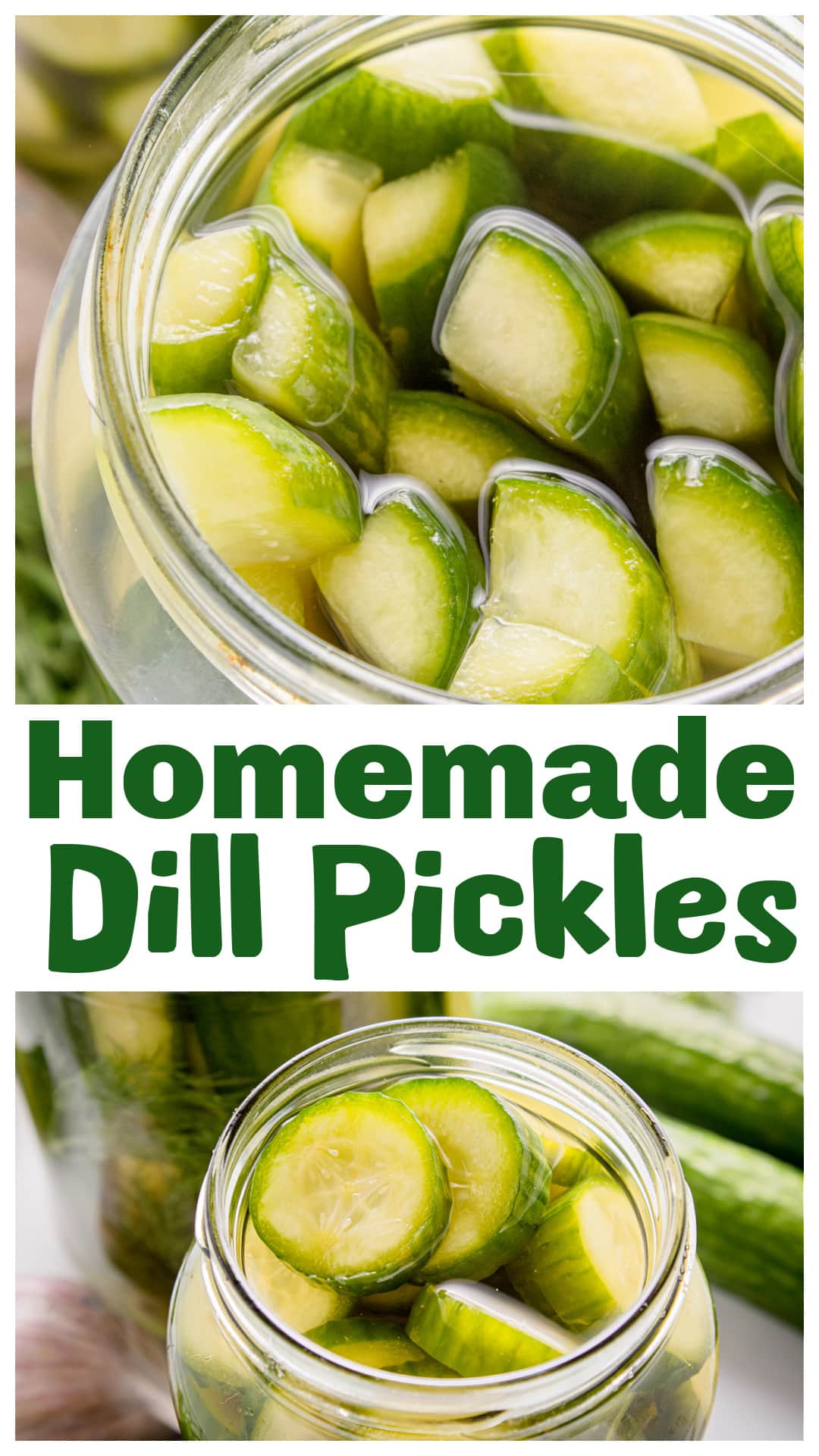Crisp, briny, and full of flavor, these homemade dill pickles are the easiest way to turn mini cucumbers into the perfect refrigerator pickles. Made with apple cider vinegar, garlic, and fresh dill, this quick dill pickle recipe is ready in just 48 hours. No canning required, just a simple brine and a couple of jars. If you’ve been searching for the best homemade dill pickle recipe, this is the one to save for every season. via @cmpollak1