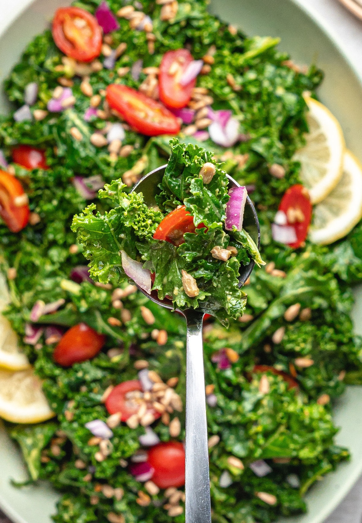 Avocado kale salad with “cheesy” flavor served on a plate with cherry tomatoes, red onion, and sunflower seeds.