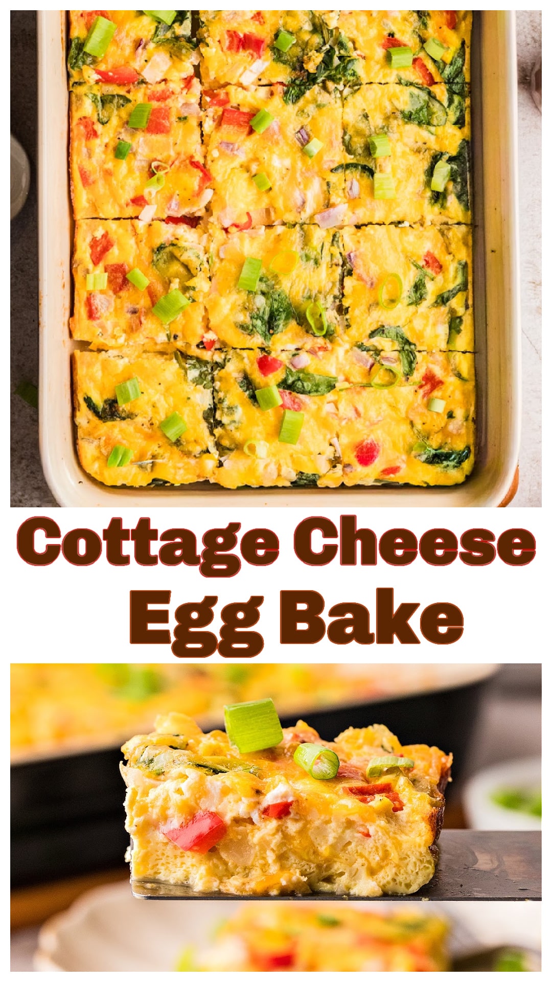 Cottage Cheese Egg Bake is an easy breakfast casserole made with eggs, cottage cheese, cheddar, spinach, peppers, and onion. This high protein cottage cheese breakfast casserole bakes creamy in the middle and golden on top. Perfect as a meal prep egg casserole, a make ahead breakfast, or a weekend brunch recipe. If you are searching for an egg bake with cottage cheese that is simple, cheesy, and full of vegetables, this breakfast casserole covers it all. via @cmpollak1