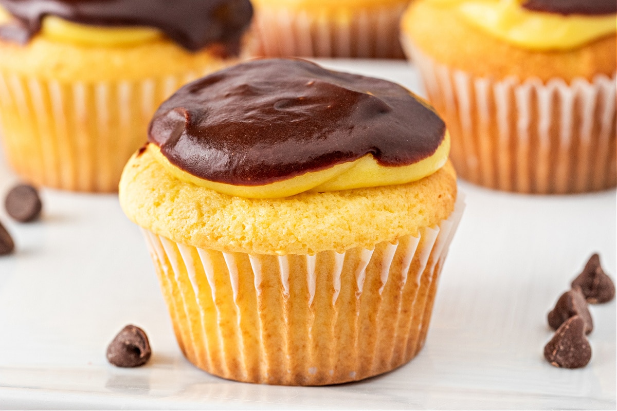 Homemade Boston Cream Pie Cupcake with Ganache Boston cream pie cupcake topped with vanilla pudding and glossy chocolate ganache, styled on a white surface with chocolate chips scattered around, for Noble Pig