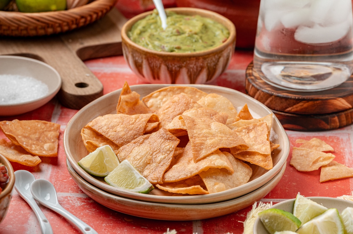 A small plate of crispy tortilla chips with visible bubbles and light golden edges.