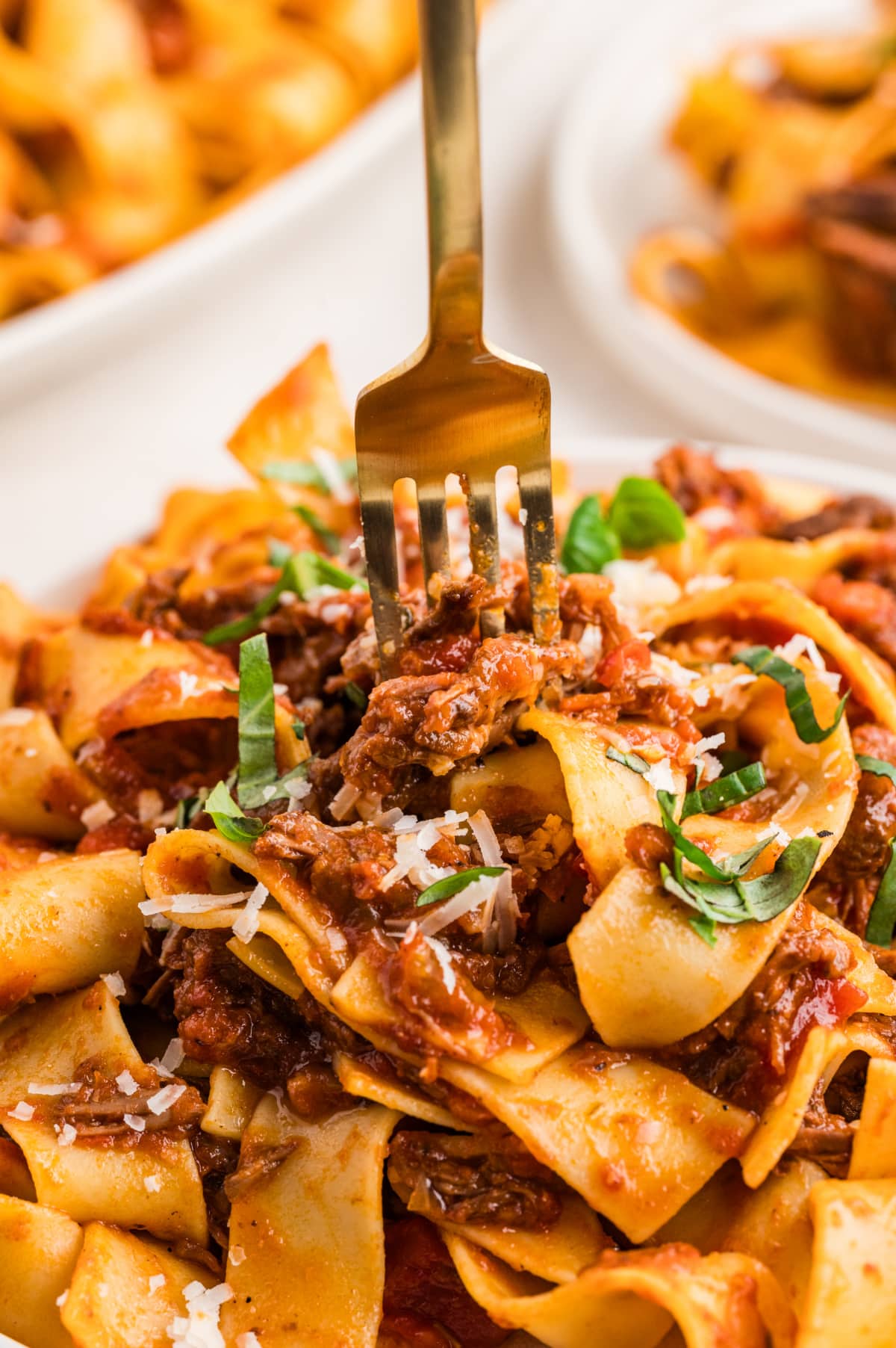 A fork lifting tender shredded beef ragù and wide pappardelle ribbons, coated in a rich tomato sauce with basil and parmesan.