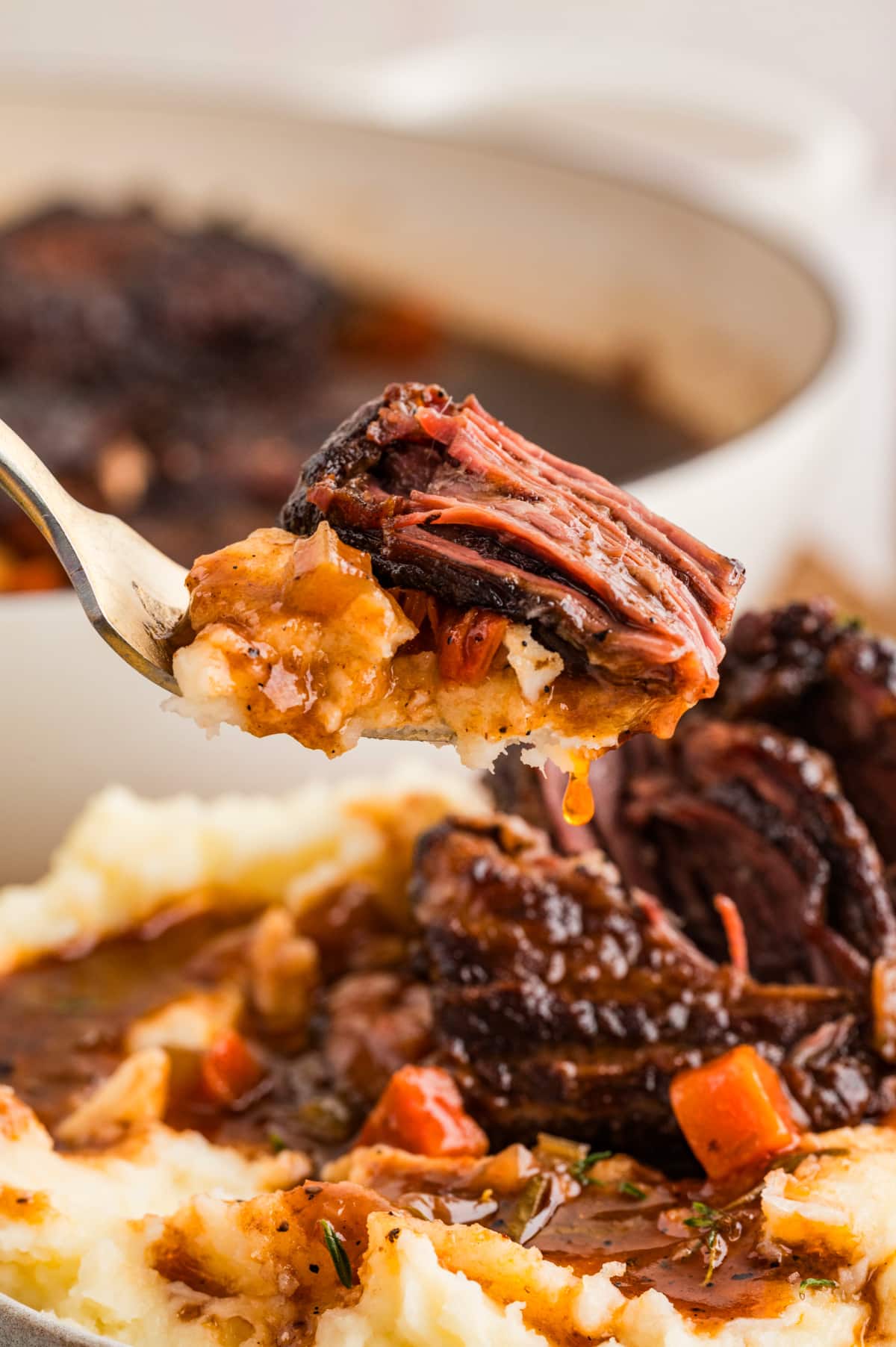 Fork-tender braised short ribs served with mashed potatoes and rich sauce in a close-up bite. A fork lifting a bite of oven-braised short ribs with mashed potatoes and sauce, showing the meat pulling apart easily after slow cooking.