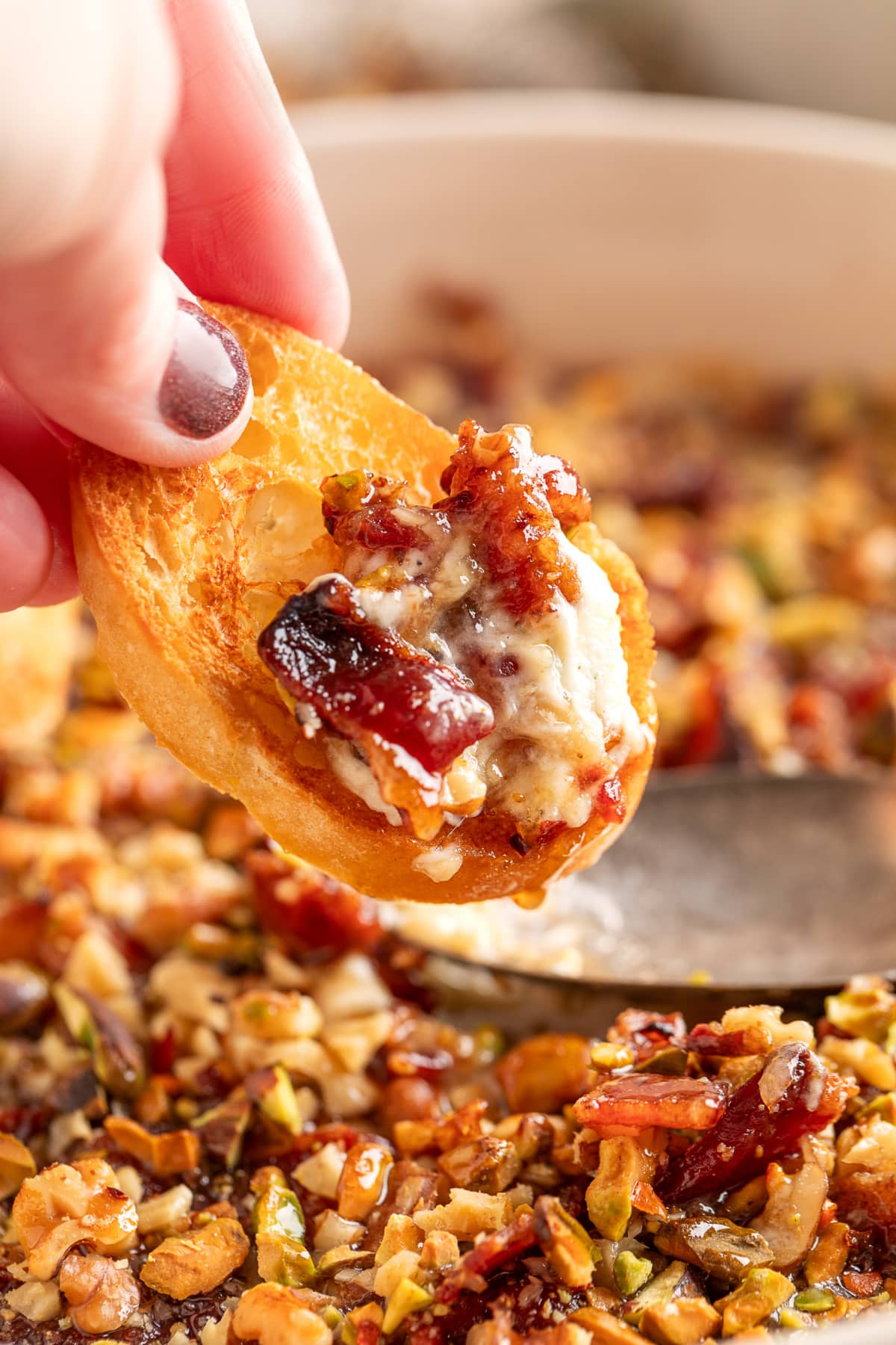 A crostini dipped into warm Boursin Bacon Pistachio & Fig Dip with jammy fig preserves, crisp bacon, and crunchy pistachios and walnuts. A toasted crostini scooping up Boursin Bacon Pistachio & Fig Dip with melted cheese, fig preserves, bacon, and chopped nuts.