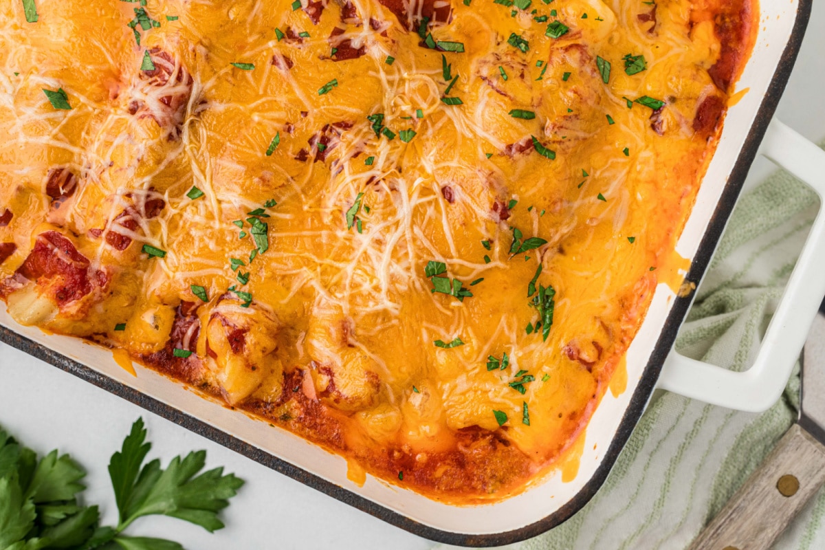Baked manicotti fresh from the oven with bubbling marinara sauce and a melted sharp cheddar topping