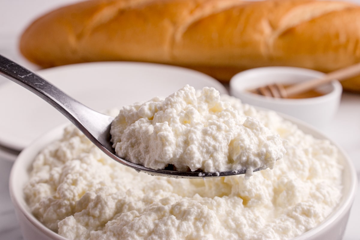 Close-up of homemade ricotta cheese with light, tender curds and creamy texture Spoonful of homemade ricotta cheese showing soft, fresh curds
