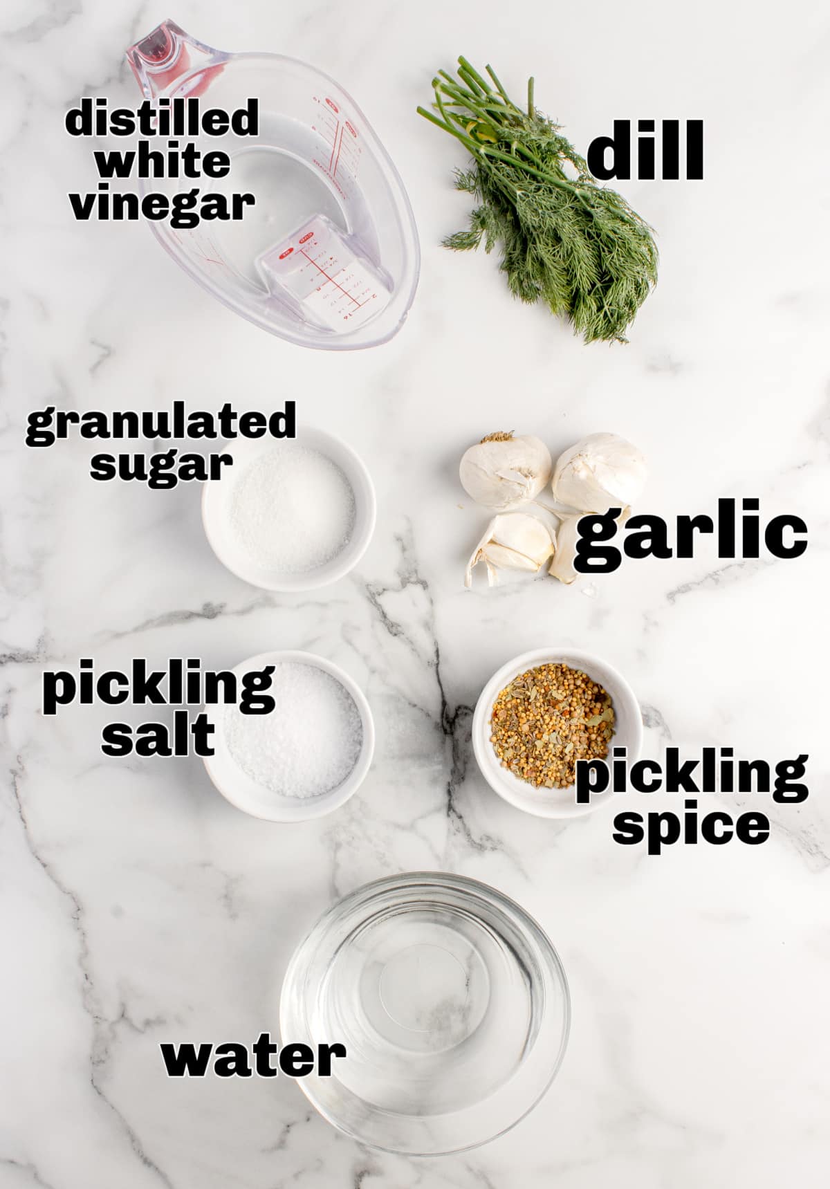 Pickled garlic ingredients Ingredients for refrigerator pickled garlic including vinegar, dill, garlic, salt, sugar, and pickling spice