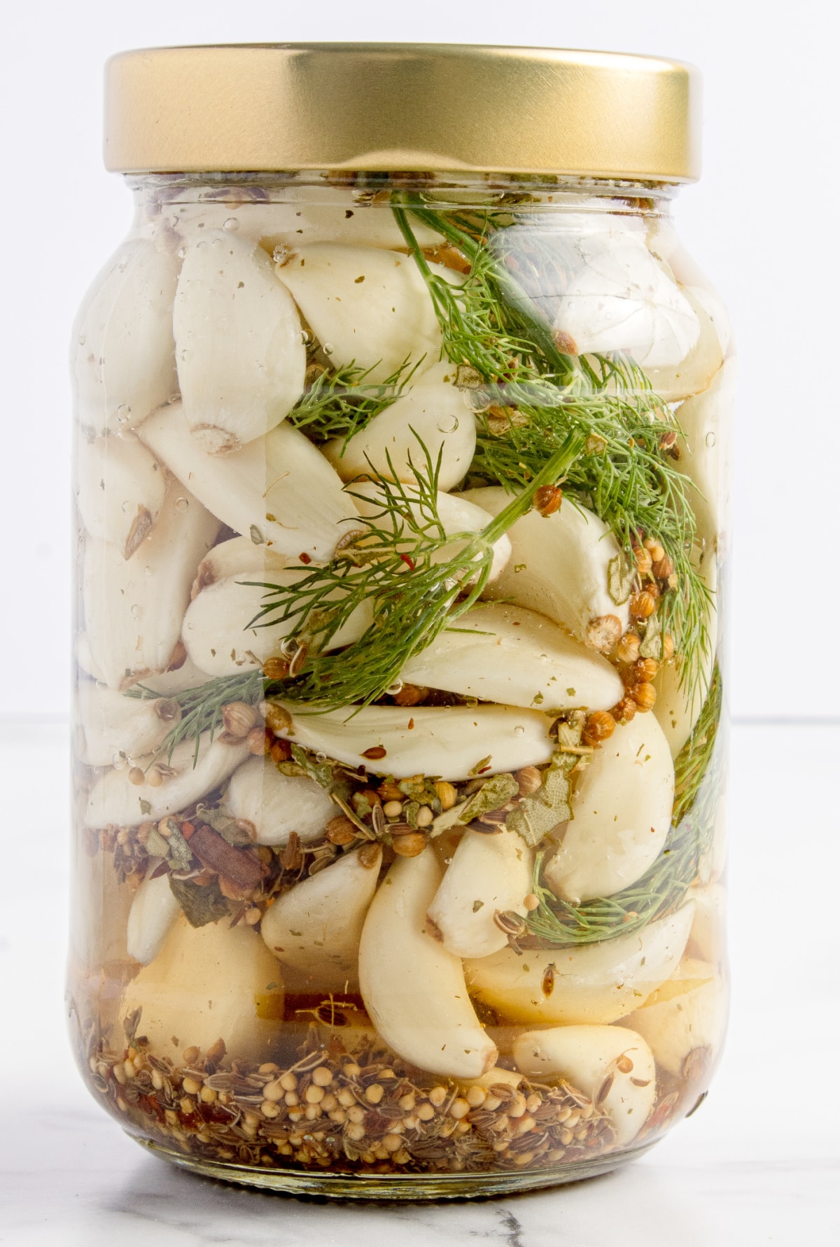 Pickled Dill Garlic jar Jar of Pickled Dill Garlic with dill and spices in vinegar brine