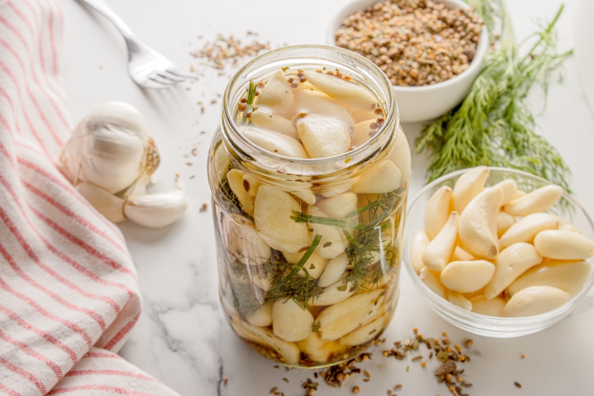 Pickled Dill Garlic with fresh ingredients Overhead view of Pickled Dill Garlic with fresh cloves, dill, and pickling spice