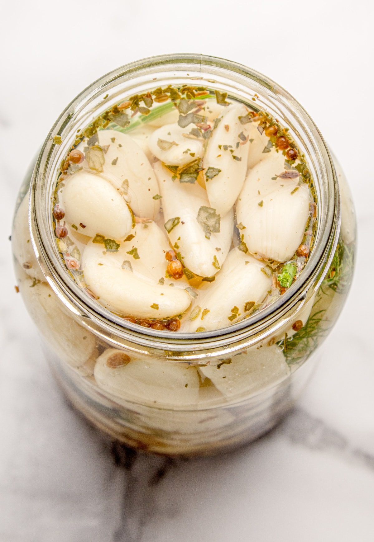 Garlic cloves in brine Top view of garlic cloves in vinegar brine with dill and spices